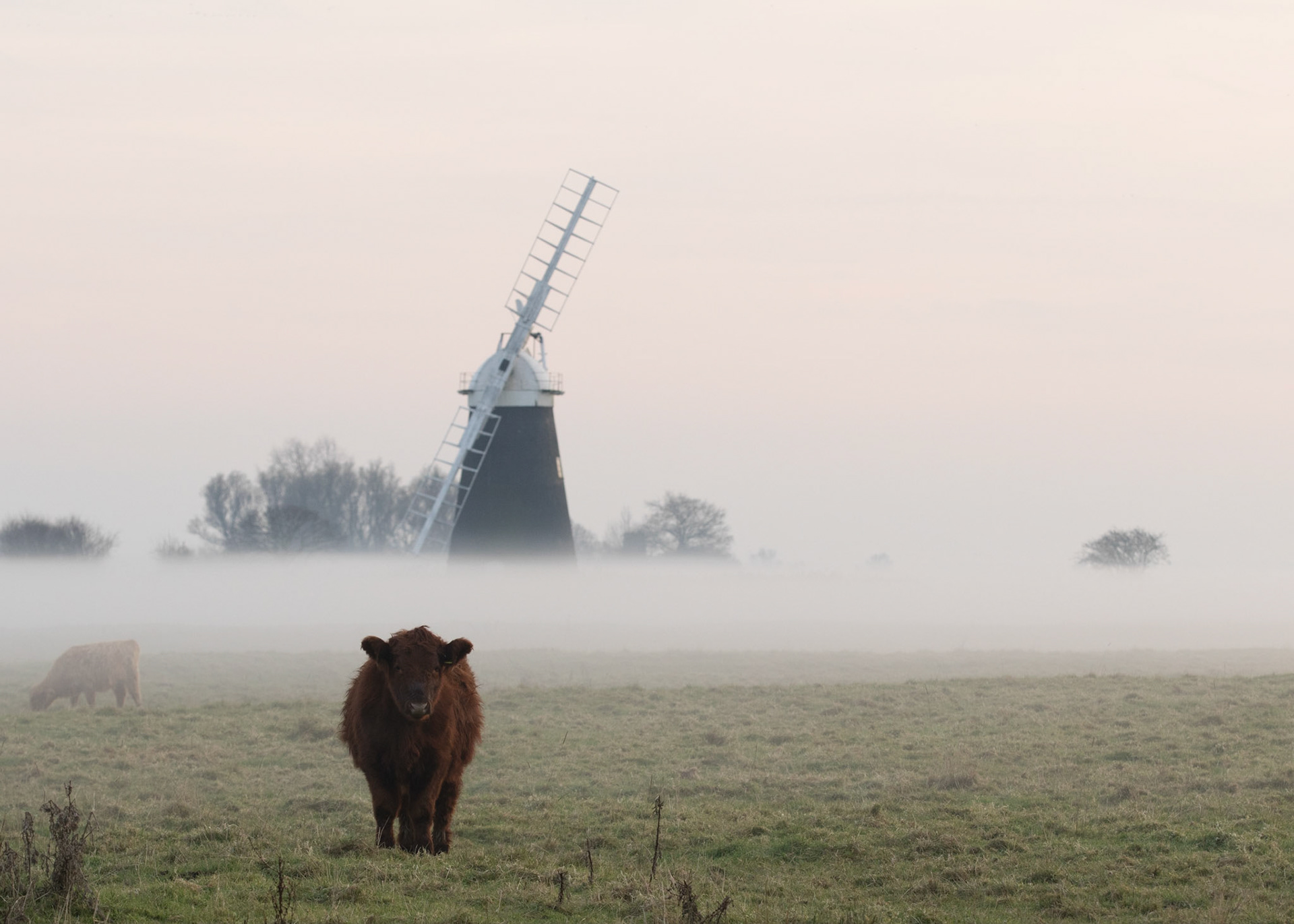 Muttons Mill in the mist (December 2016)