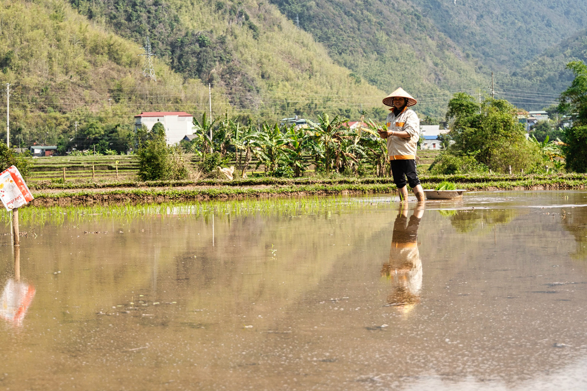 Mai Chau