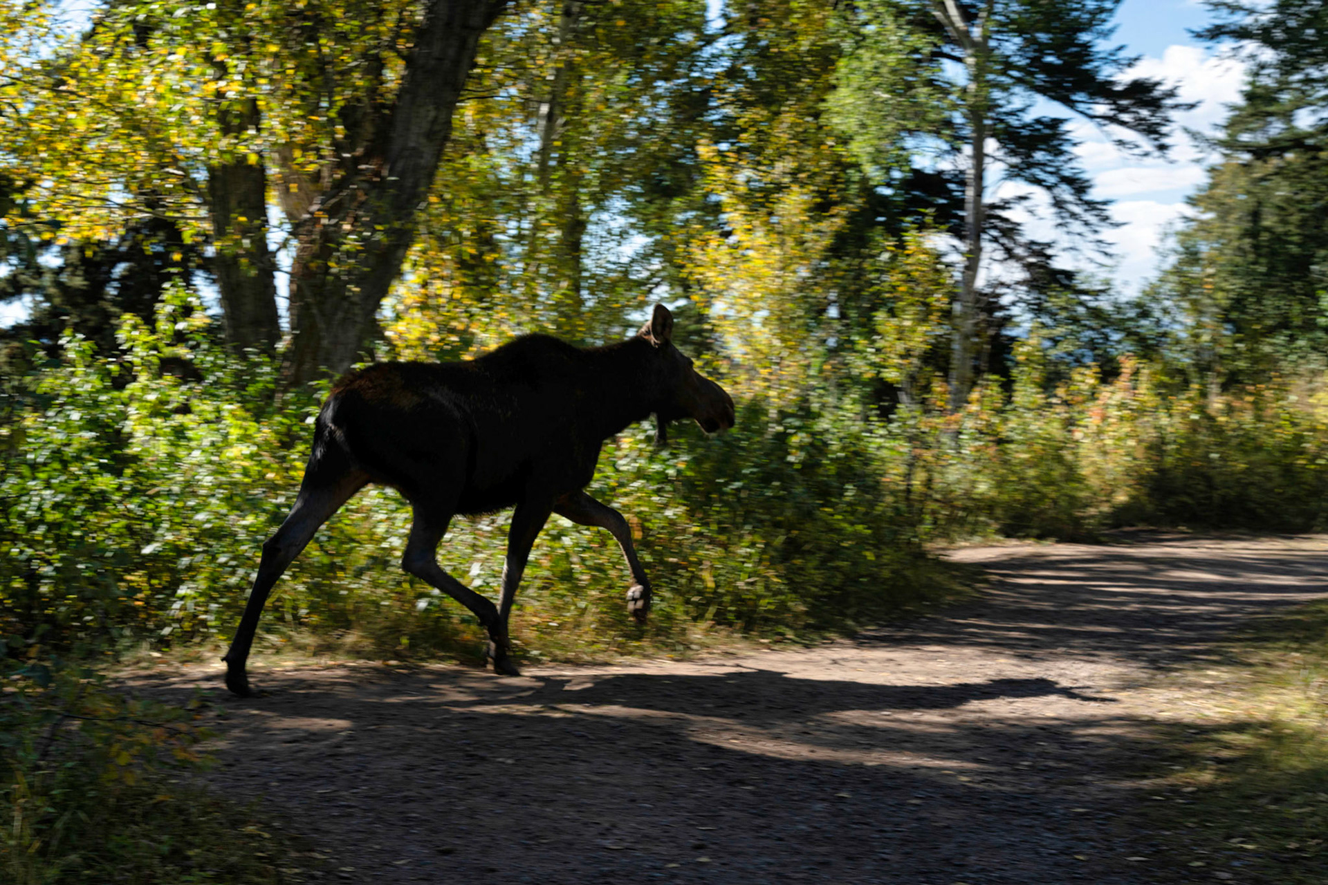 Grand Teton Parc