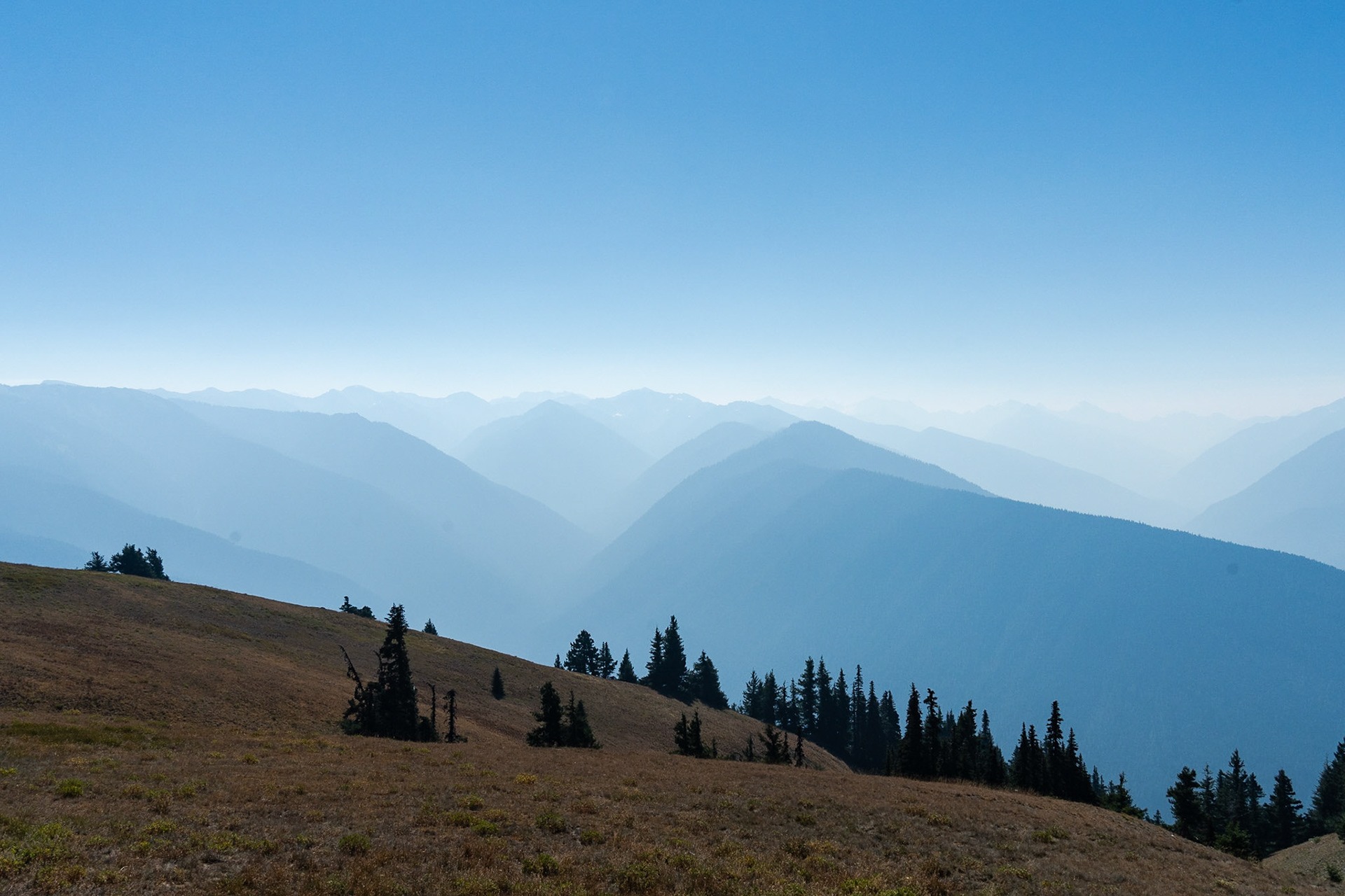 Hurricane Ridge