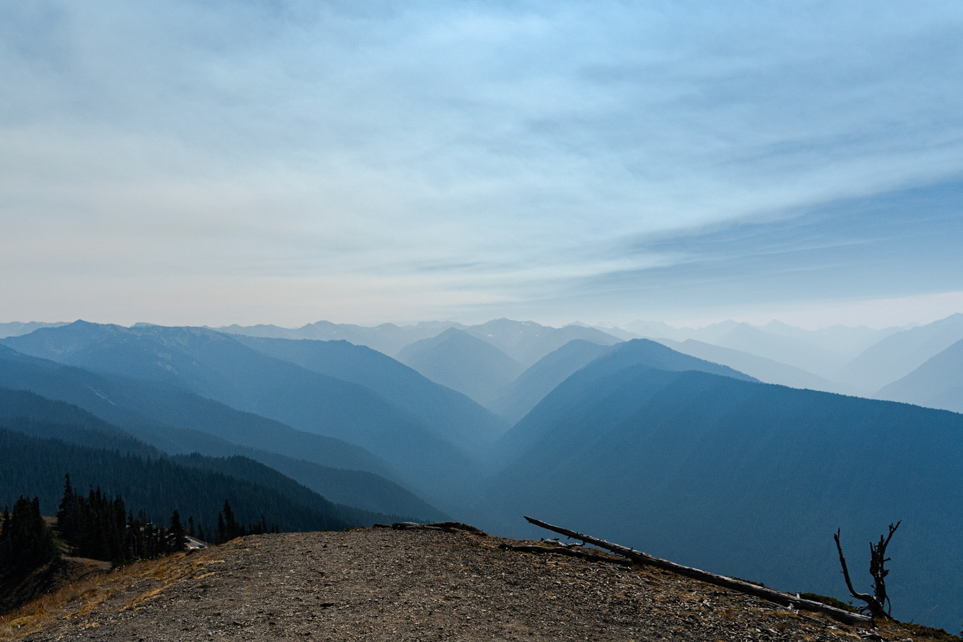Hurricane Ridge