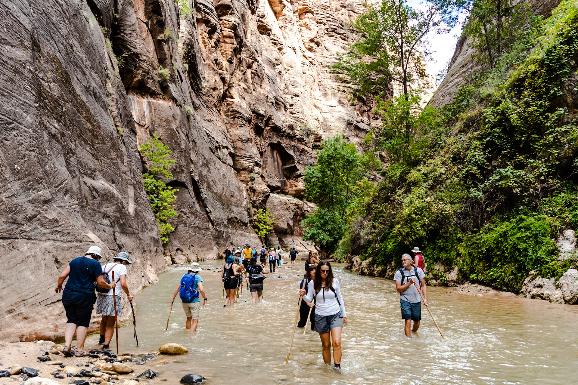 Zion National Parc