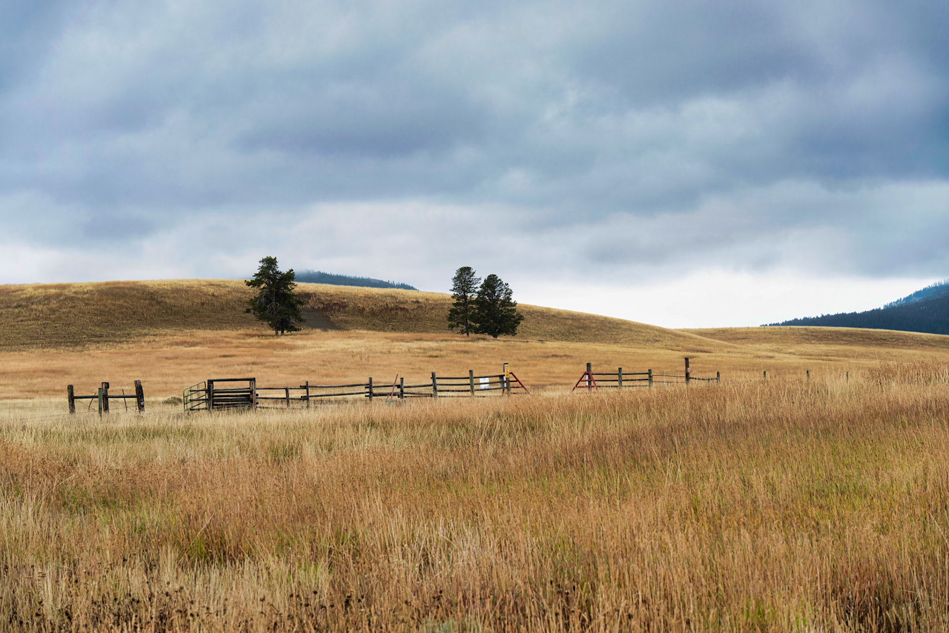 Bar'N Ranch West Yellowstone