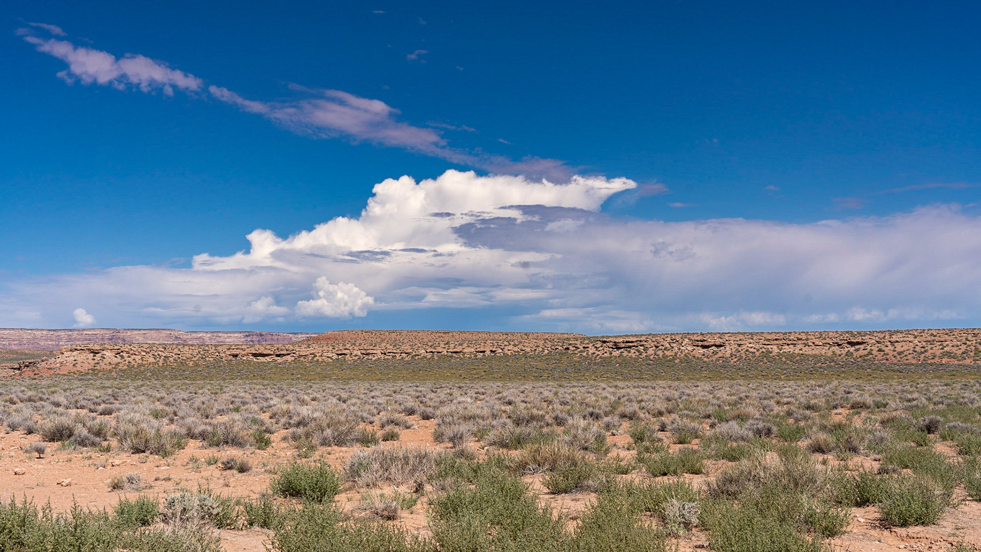 Arches National Parc