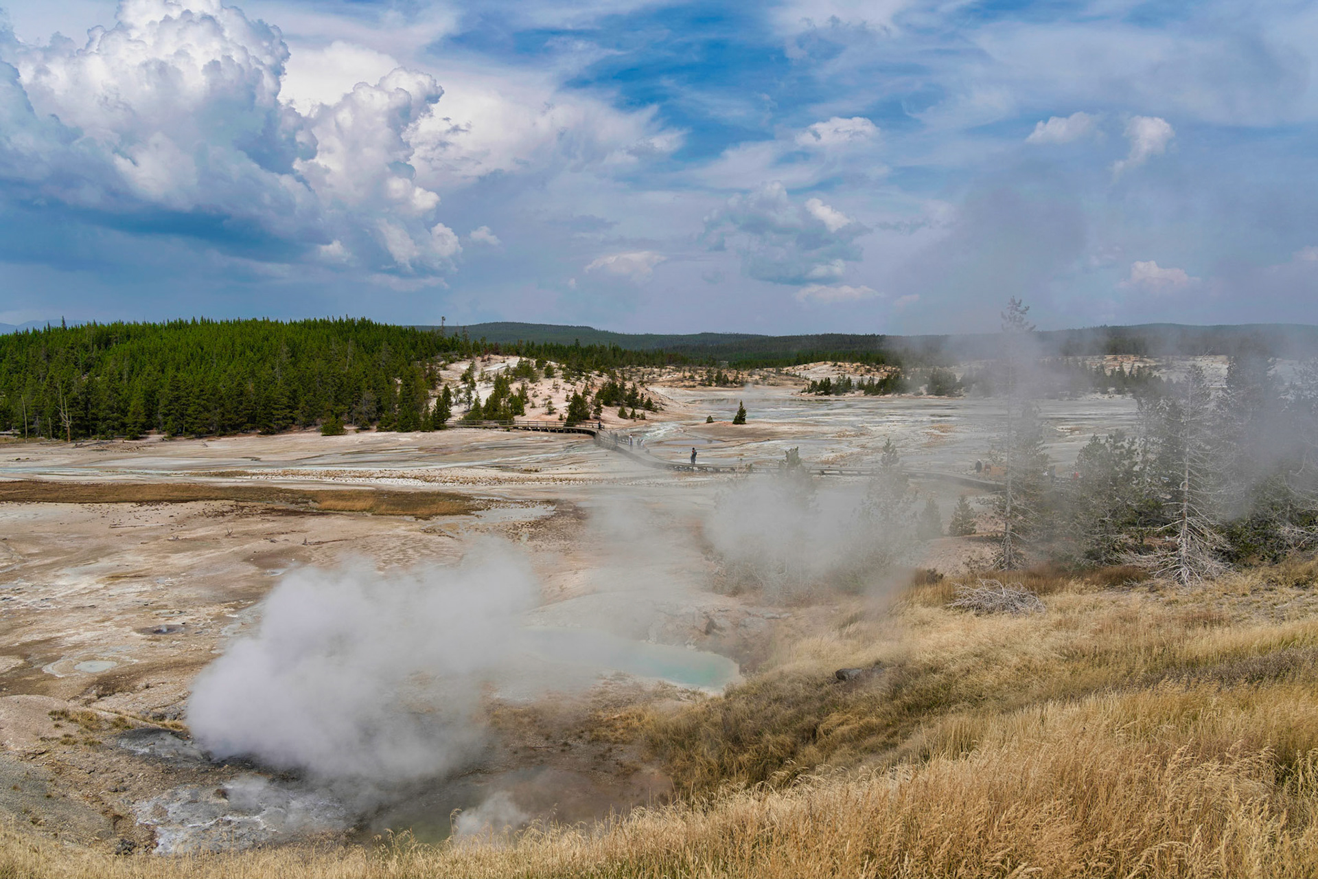 Yellowstone Parc