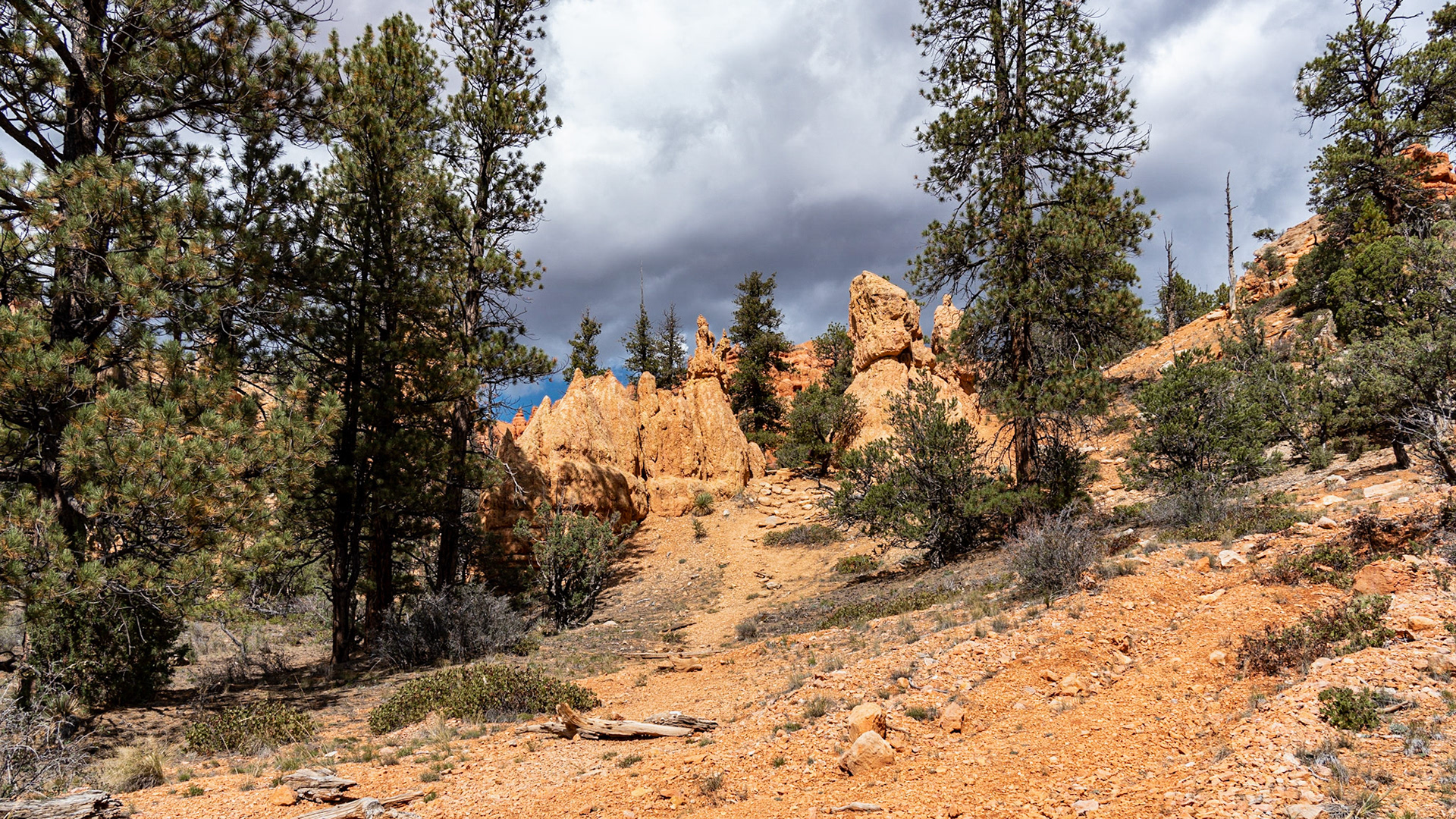 Dixie National Forest