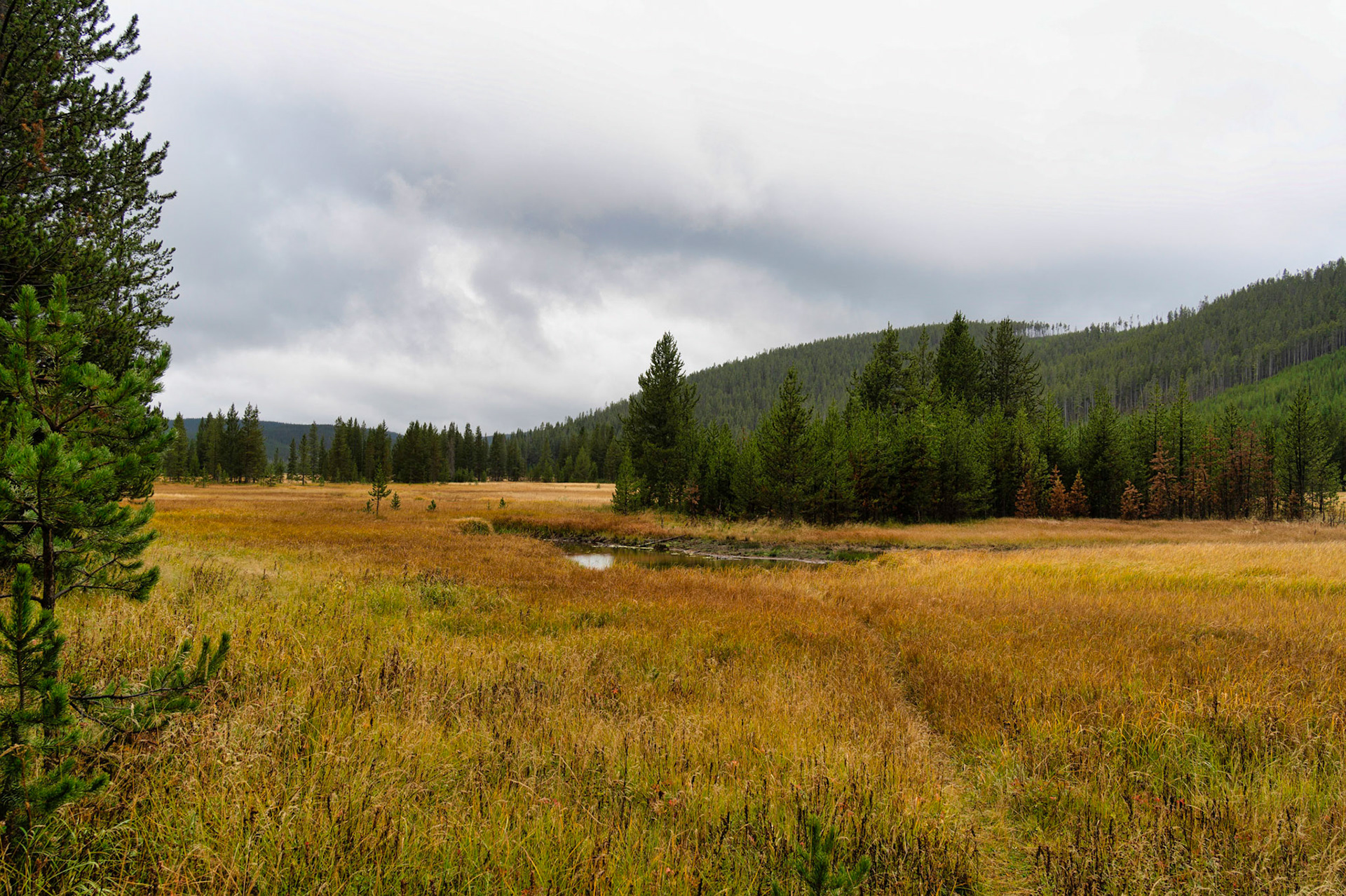 Bar'N Ranch West Yellowstone