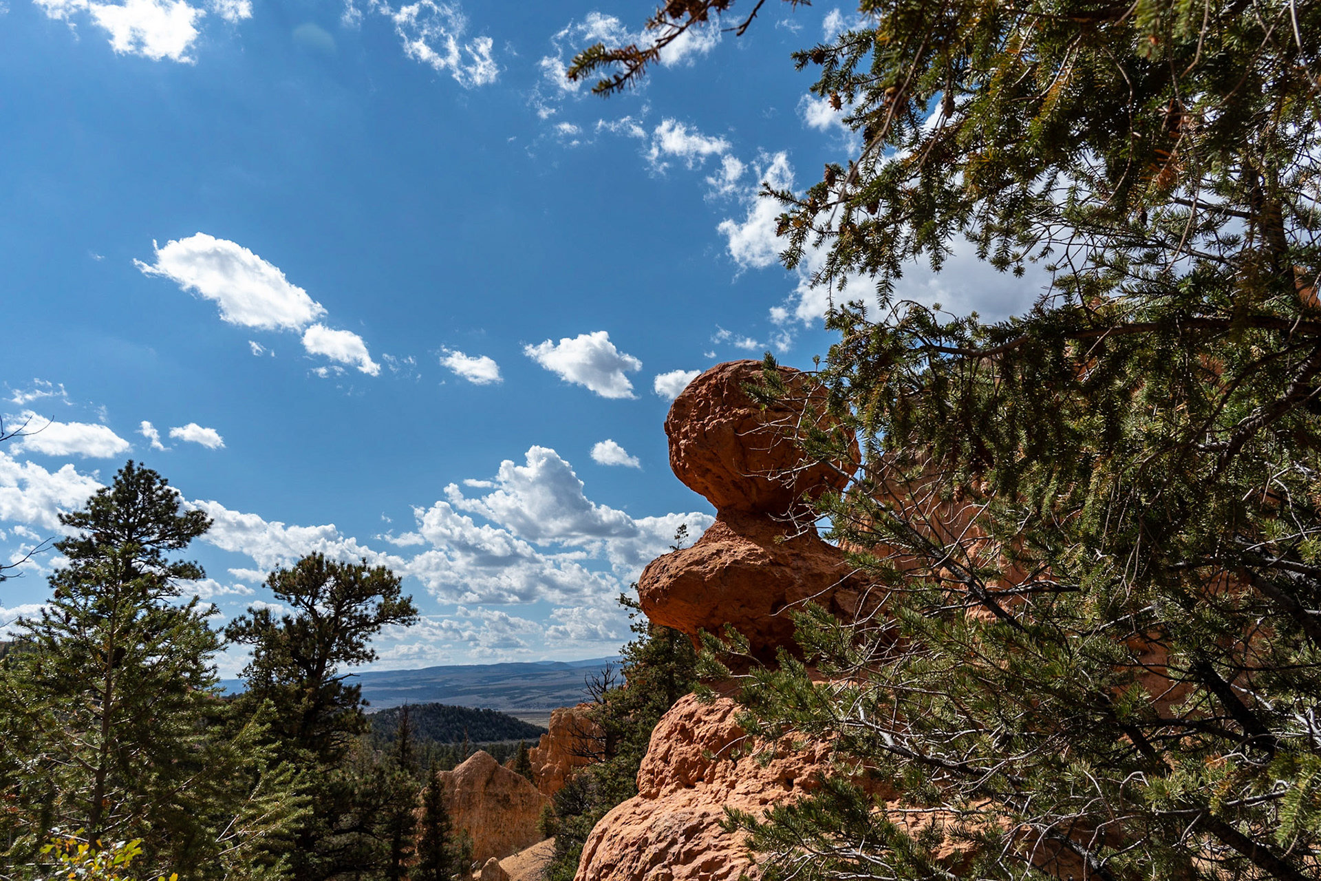 Dixie National Forest
