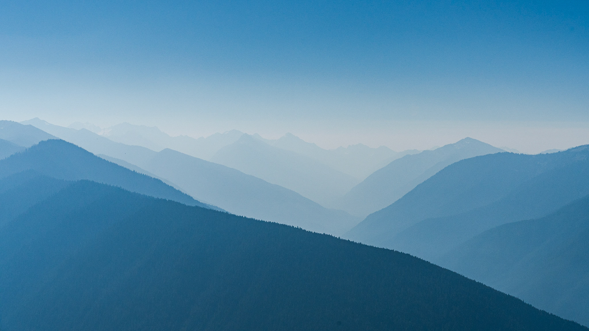 Hurricane Ridge