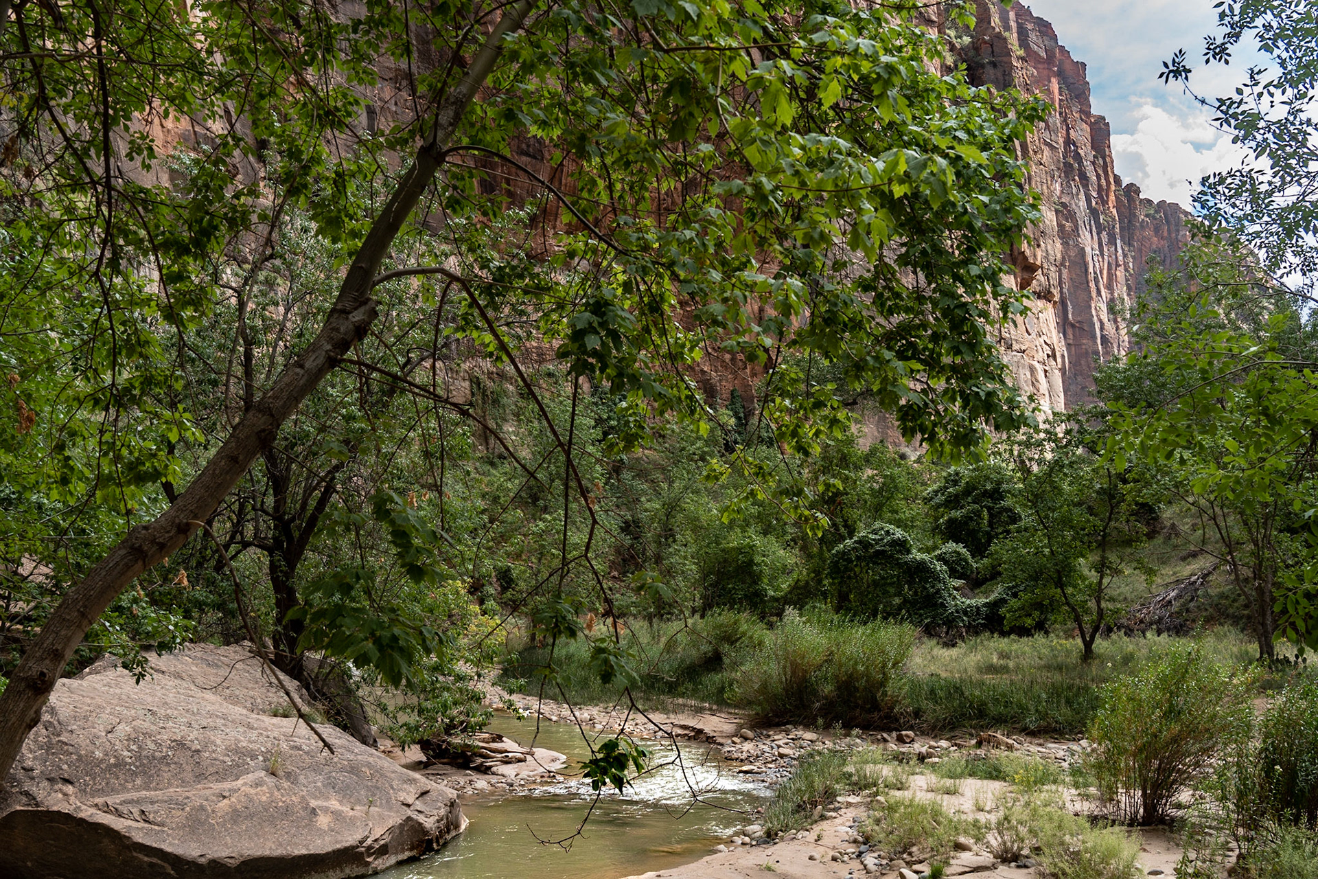 Zion National Parc