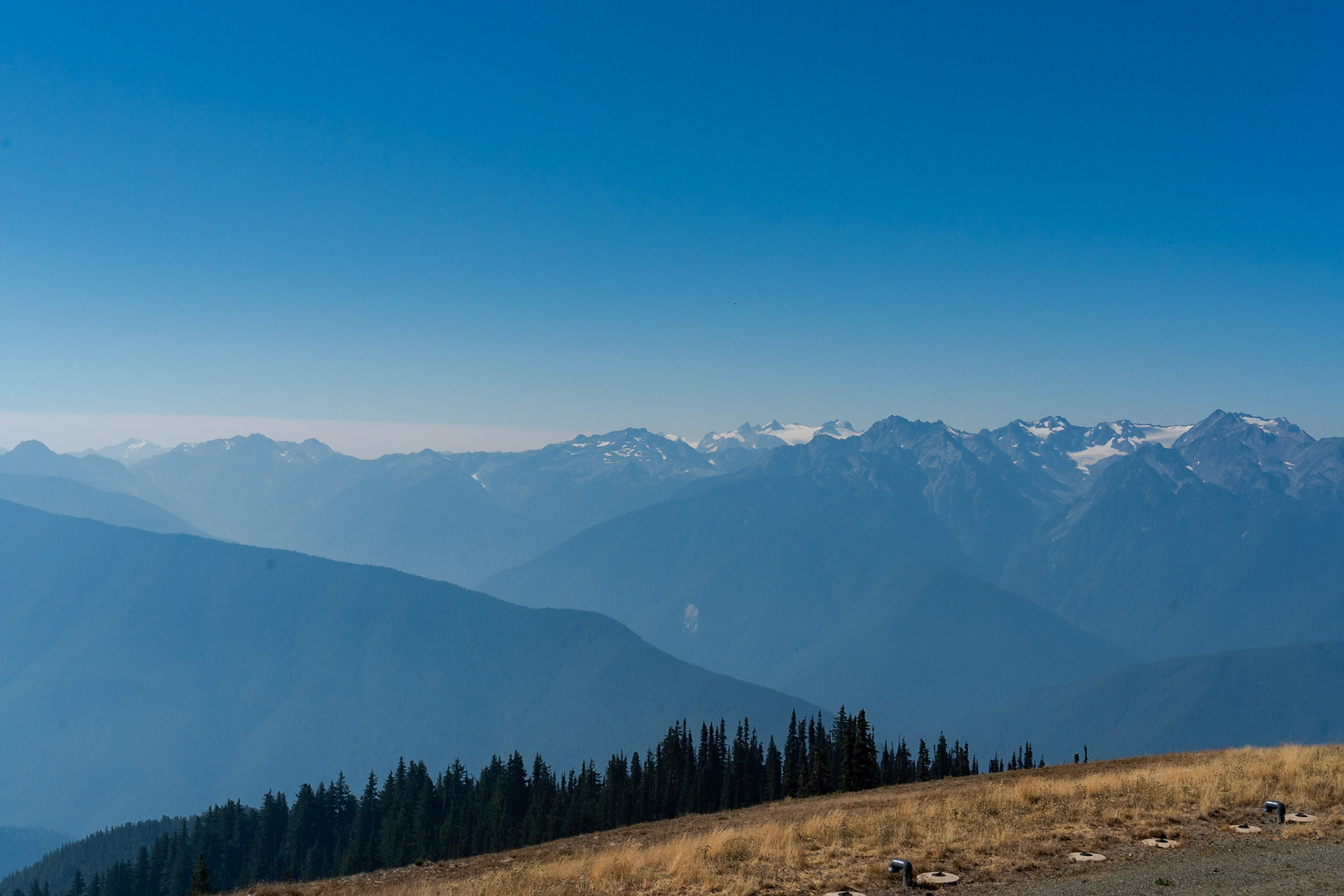 Hurricane Ridge