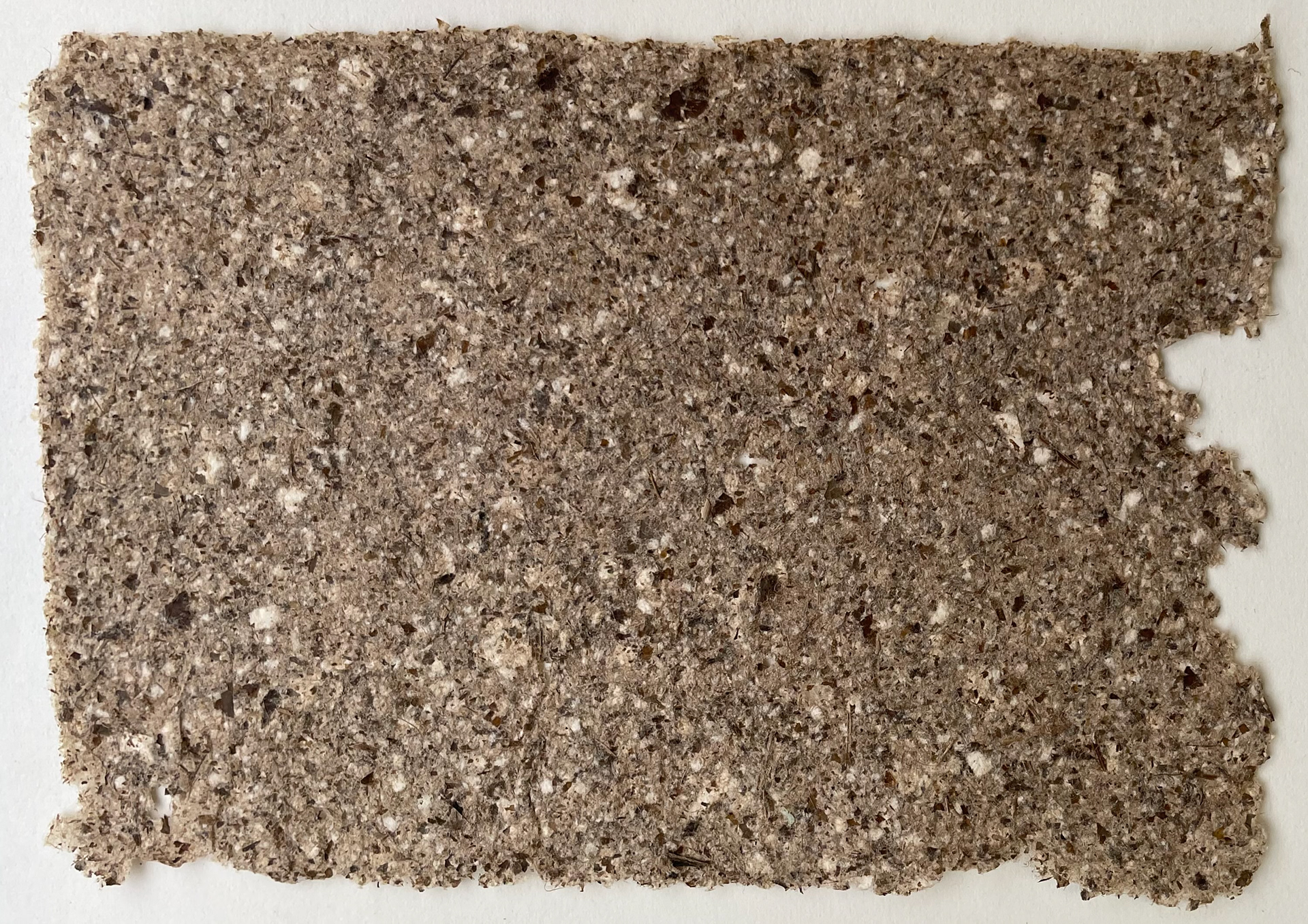 Indian Almond Leaf paper