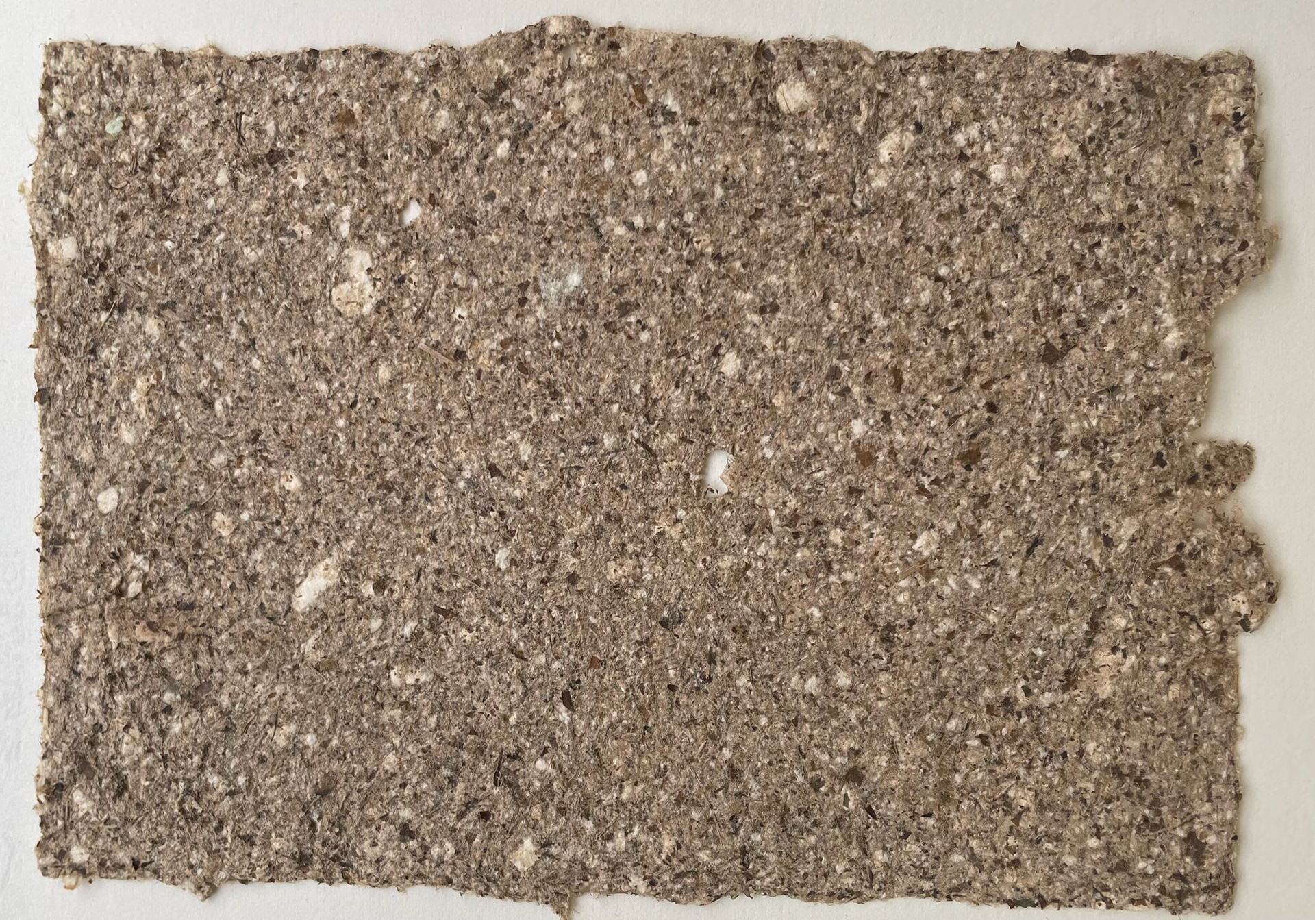 Indian Almond Leaf paper