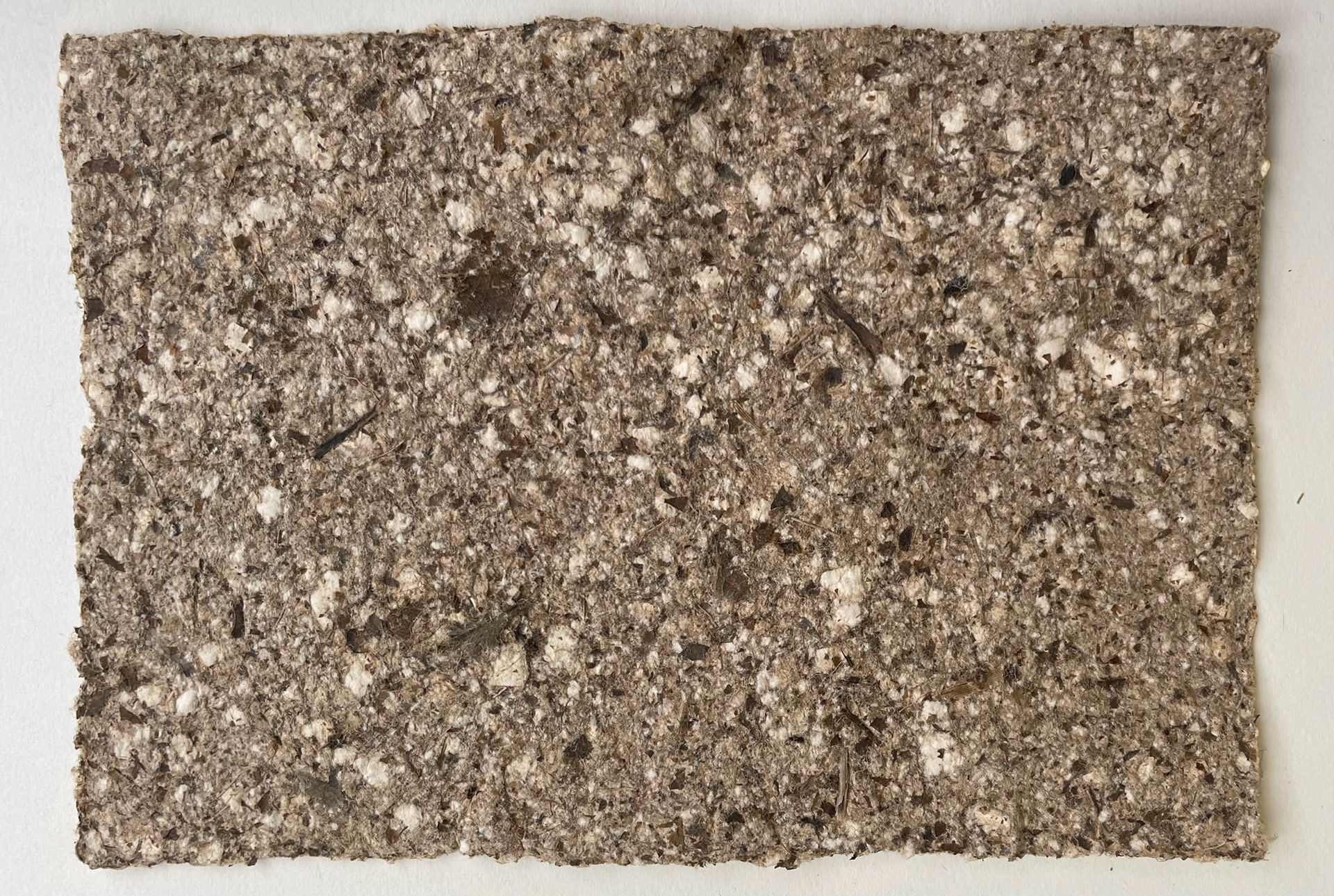 Indian Almond Leaf paper