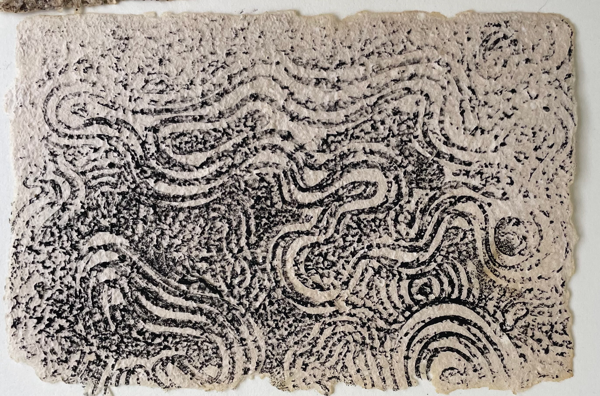 Oil Lino printed on handmade Anarchis and Duckweed Paper