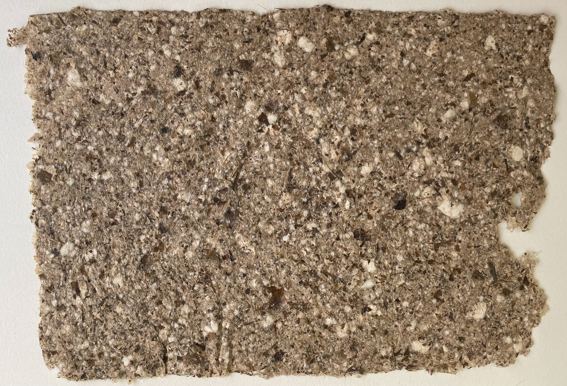 Indian Almond Leaf paper