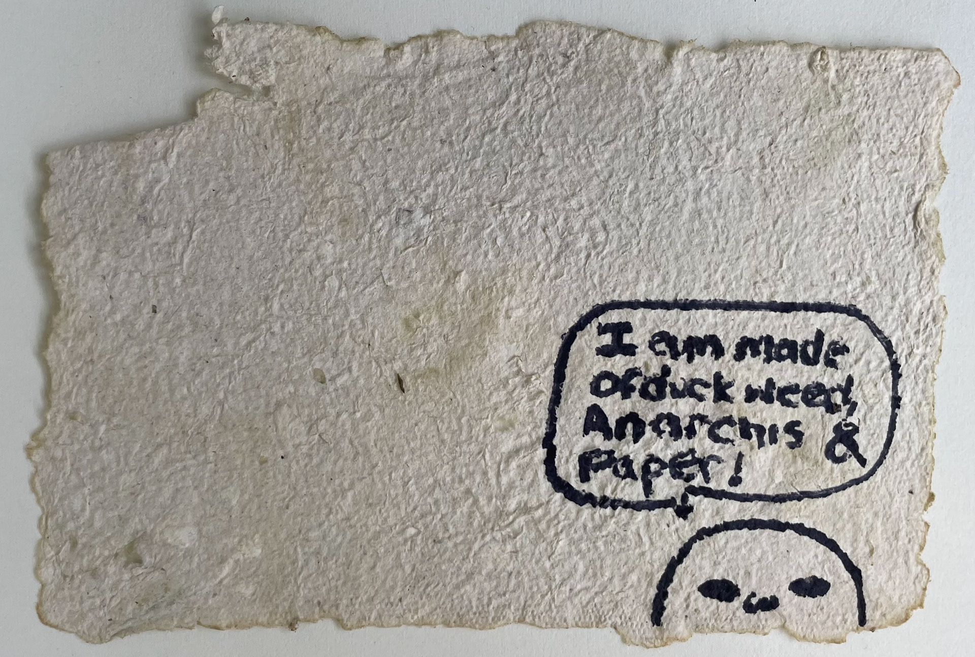 Anarchis and Duckweed Paper