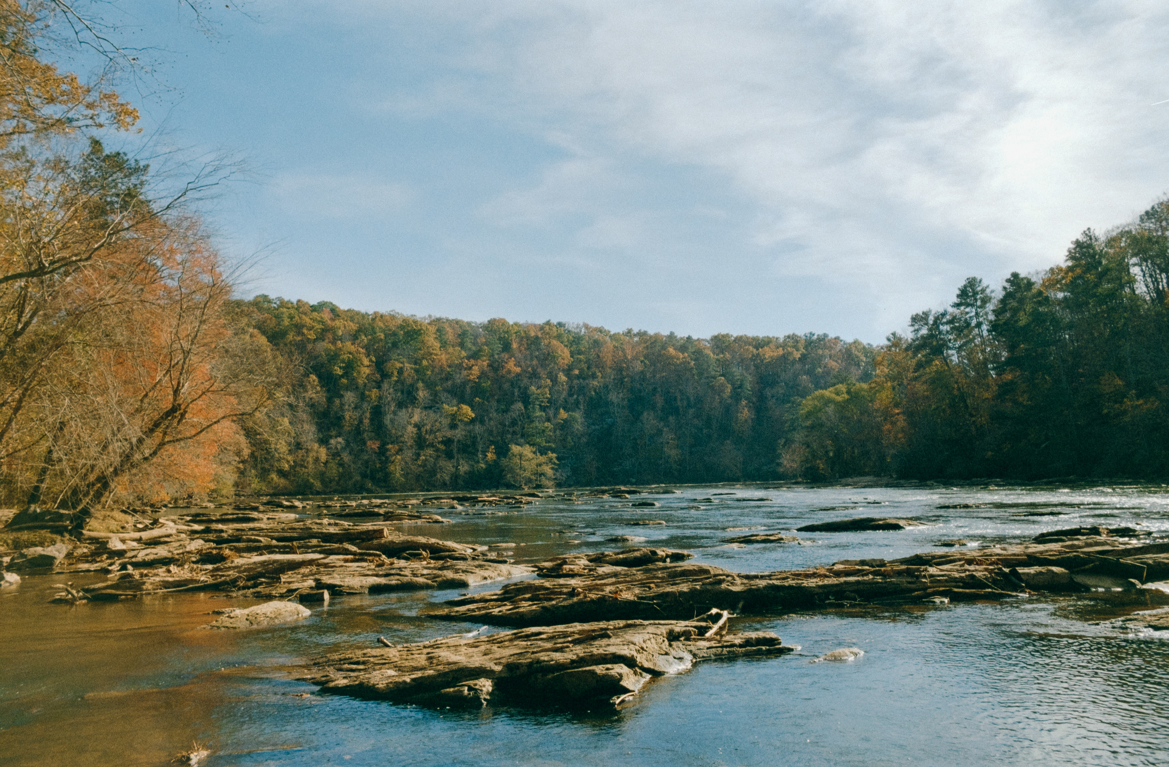 Pentax K1000 - Kodak Gold 200