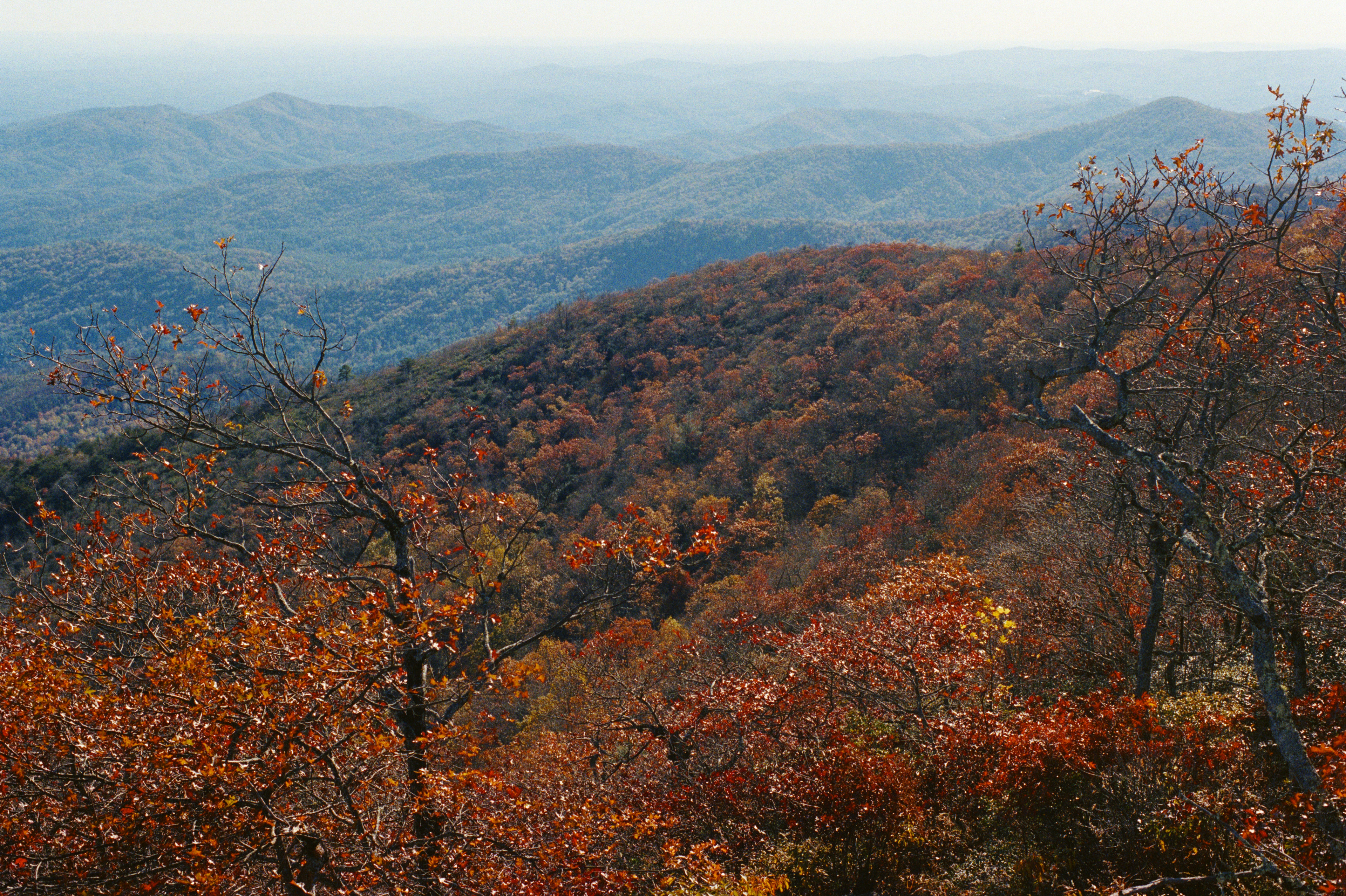 Nikon FG - Portra 400