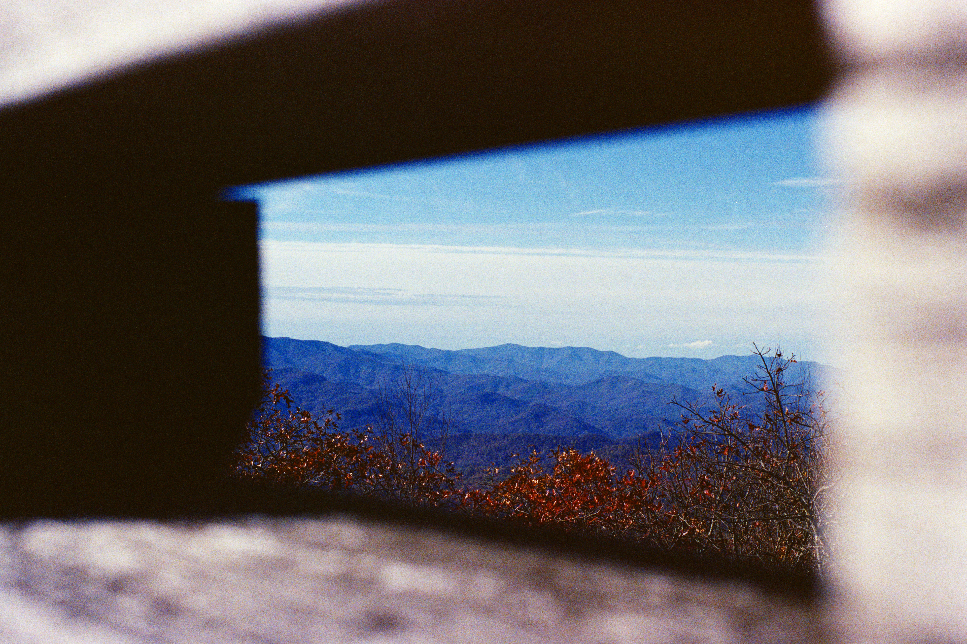 Nikon FG - Portra 400