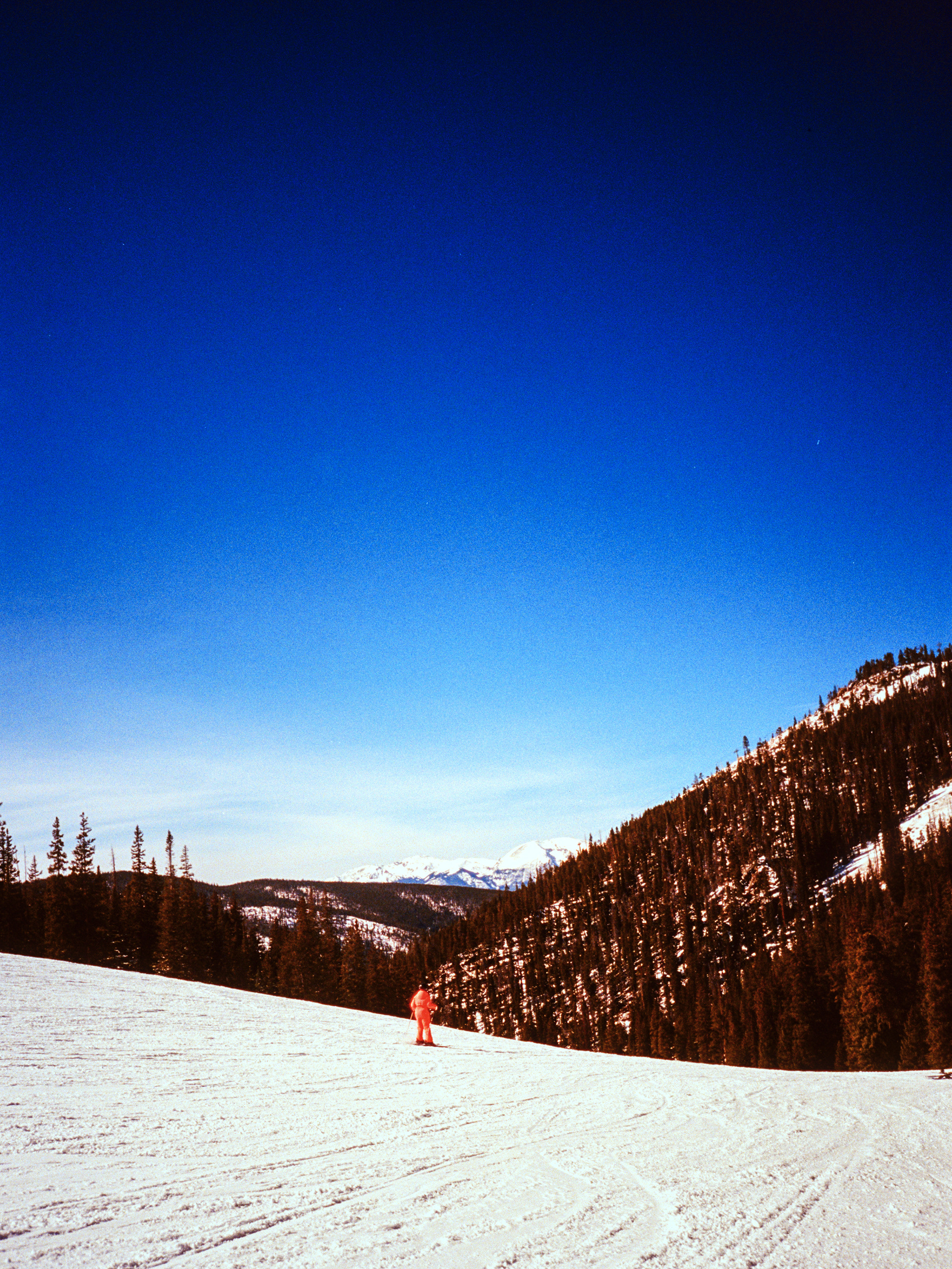 Nikon AF600 - Ektar 100