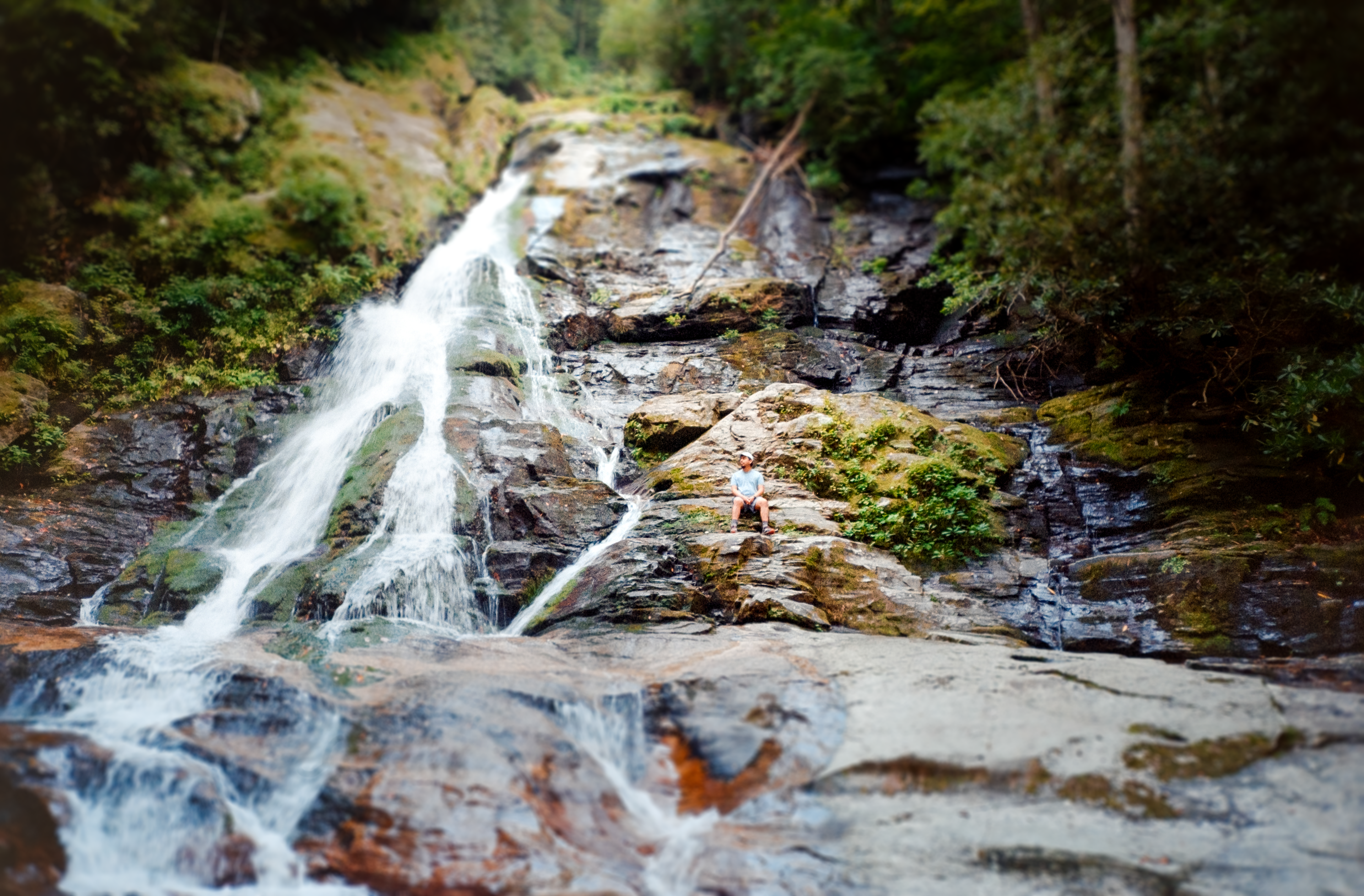 Nikon AF600 - Kodak Gold 200