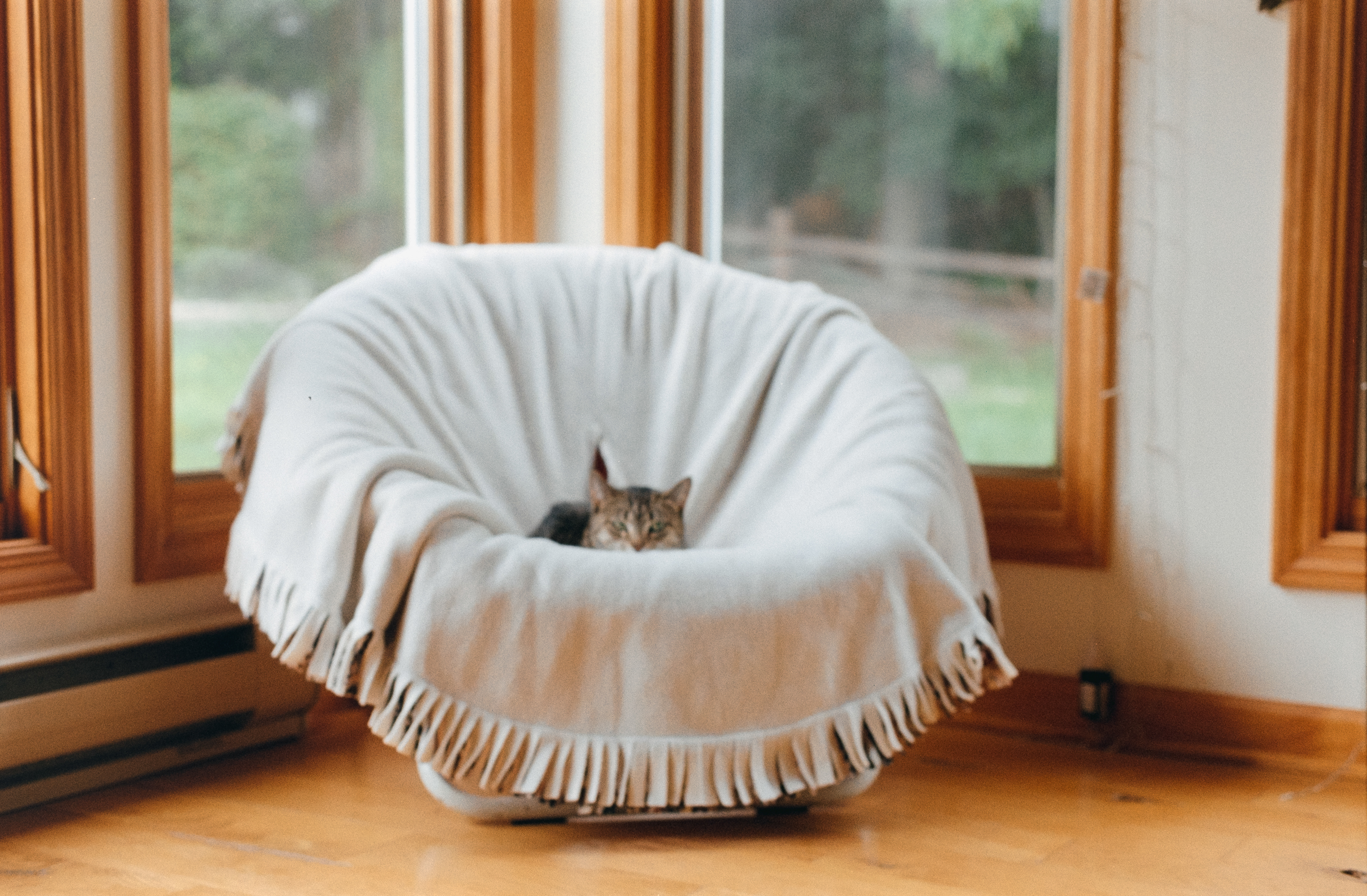 Nikon AF600 - Kodak Gold 200