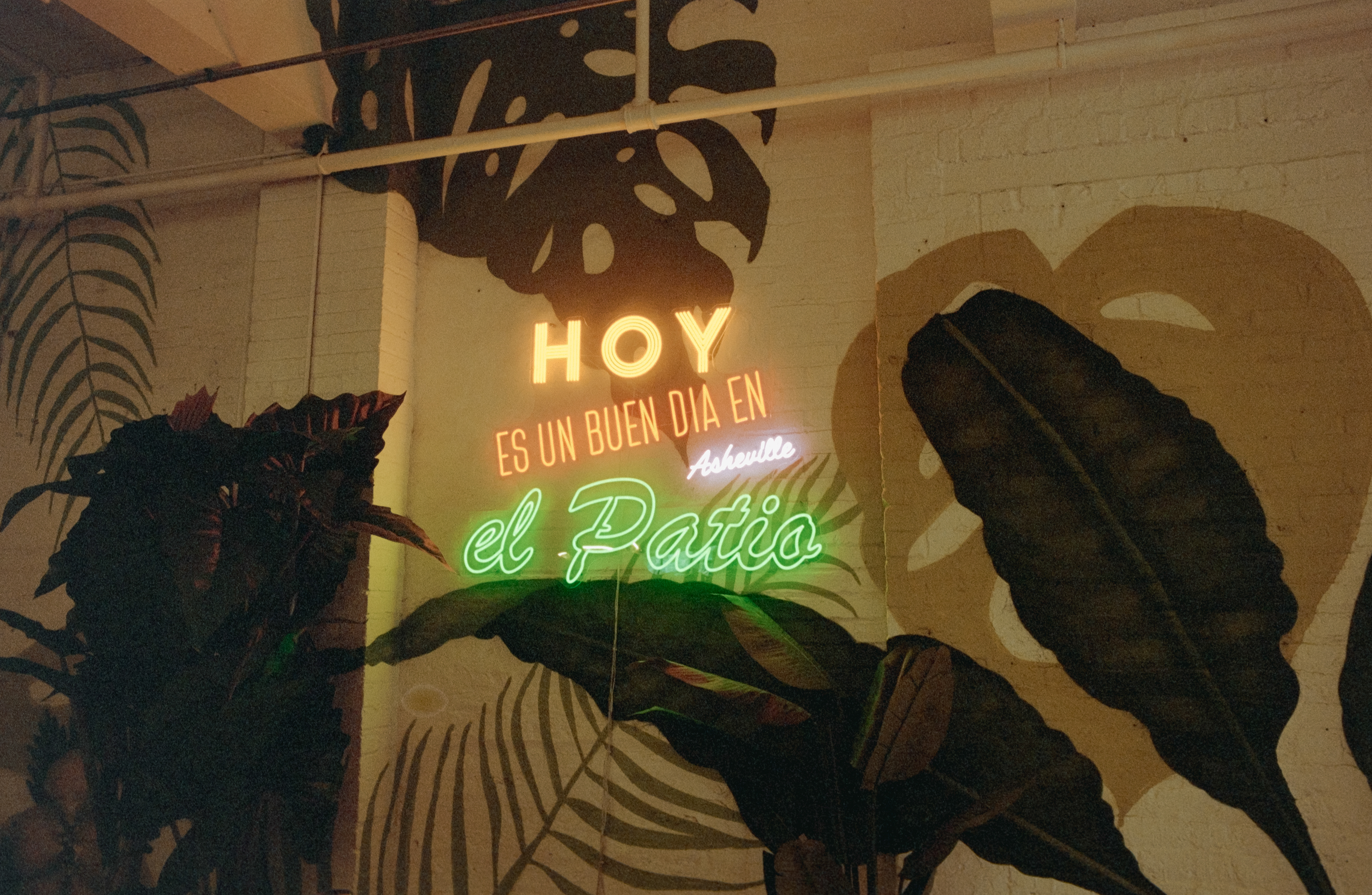 Pentax K1000 - Portra 400