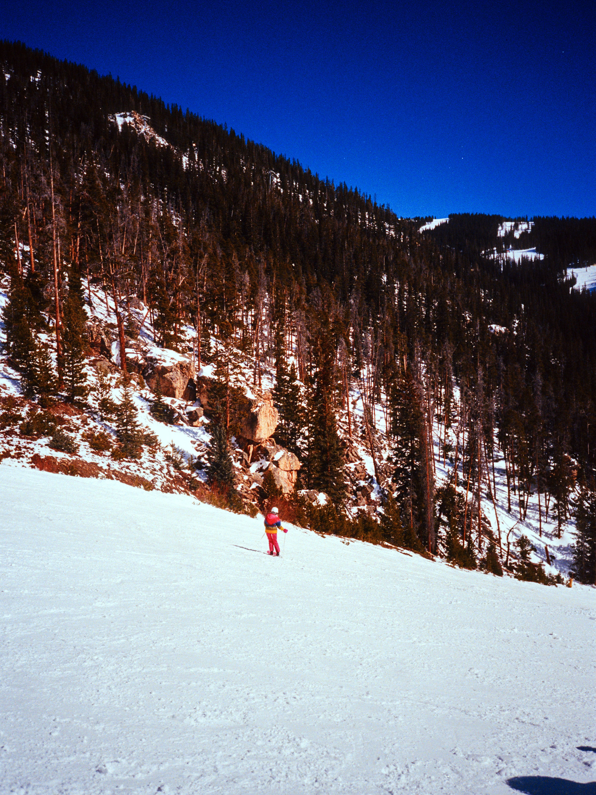 Nikon AF600 - Ektar 100