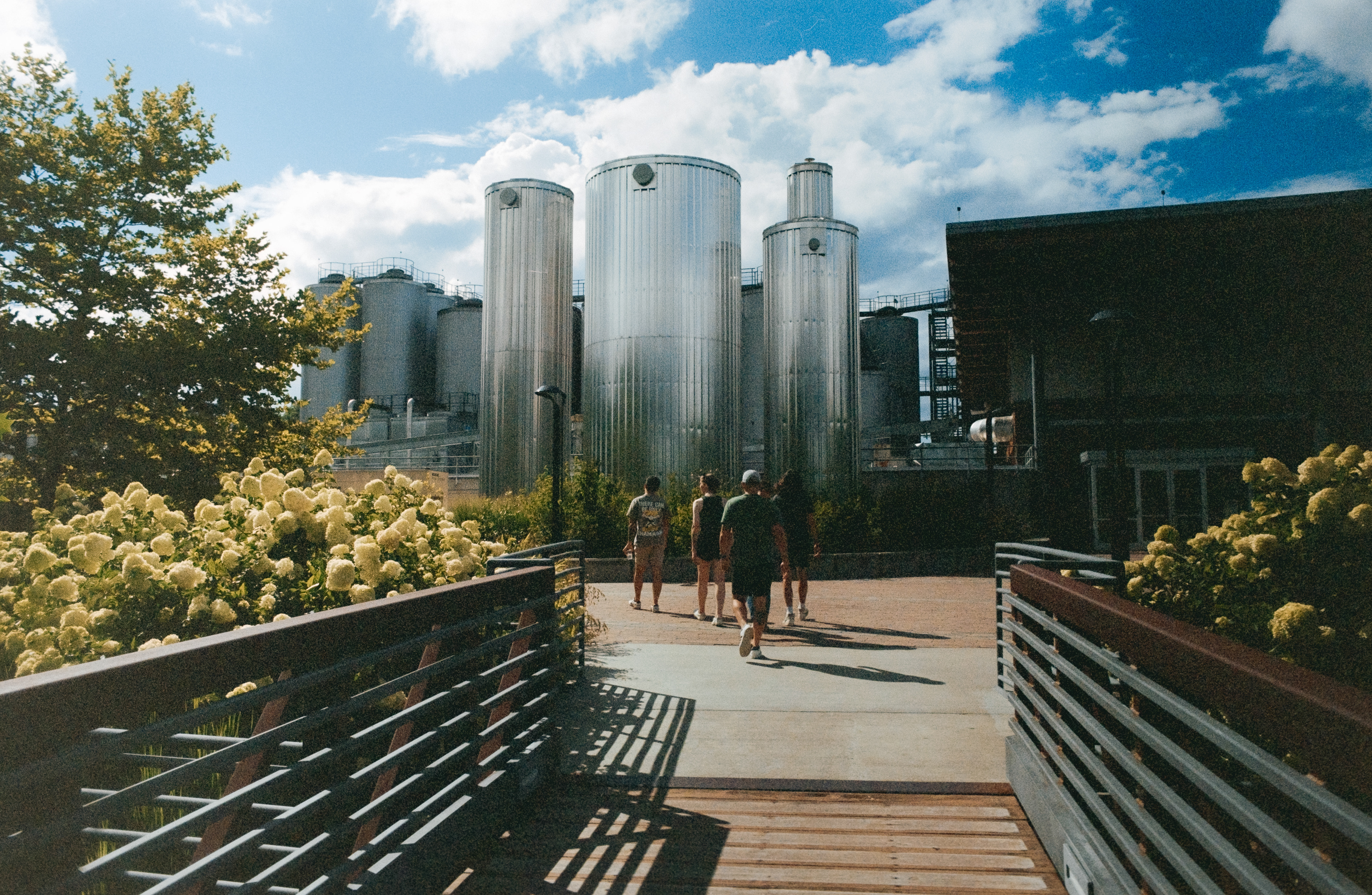 Pentax K1000 - Portra 400