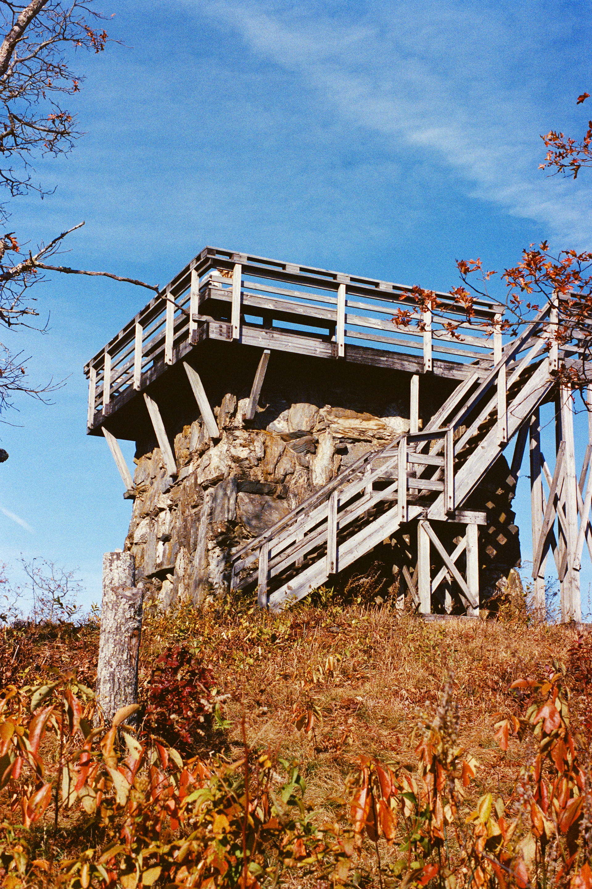 Nikon FG - Portra 400