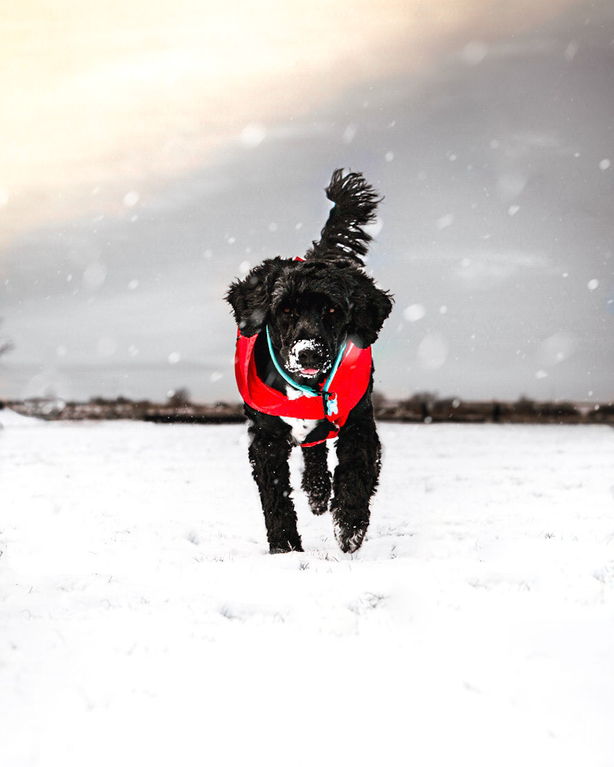 {"origin":"gallery","uid":"BA2574E9-BBBD-45FD-9498-F73B6CDB504A_1612810741322","source":"other"}