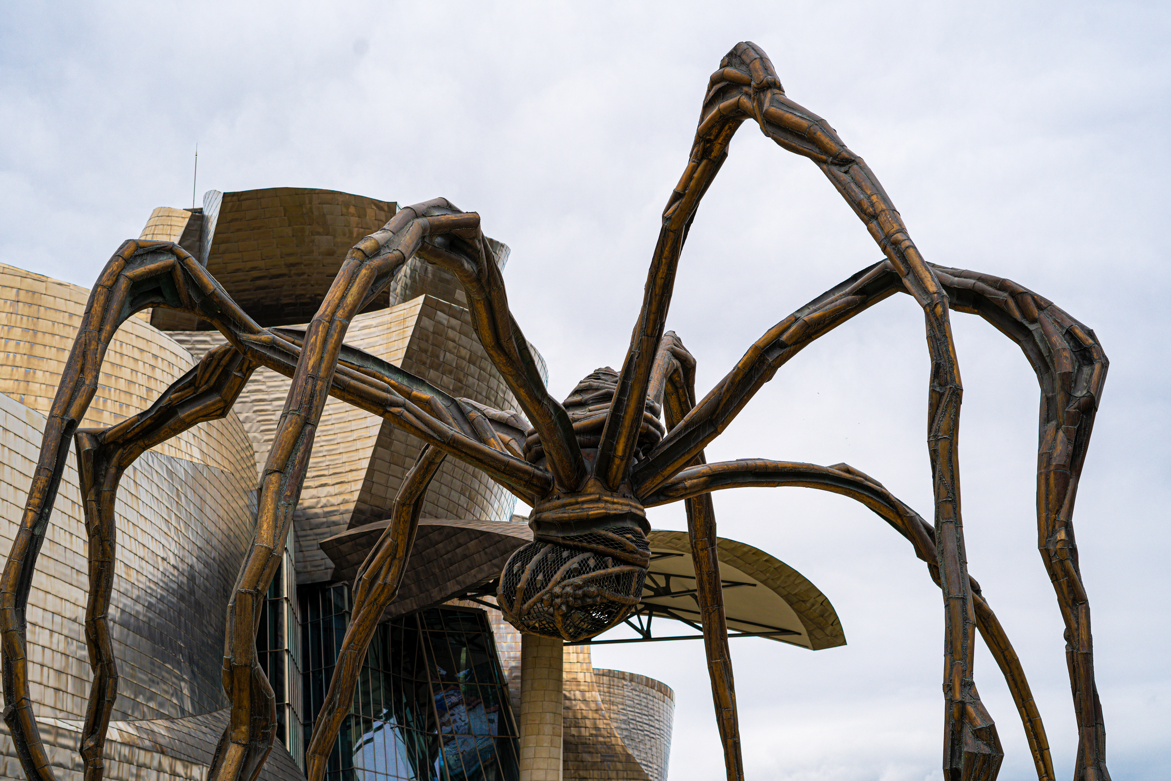 Guggenheim Museum