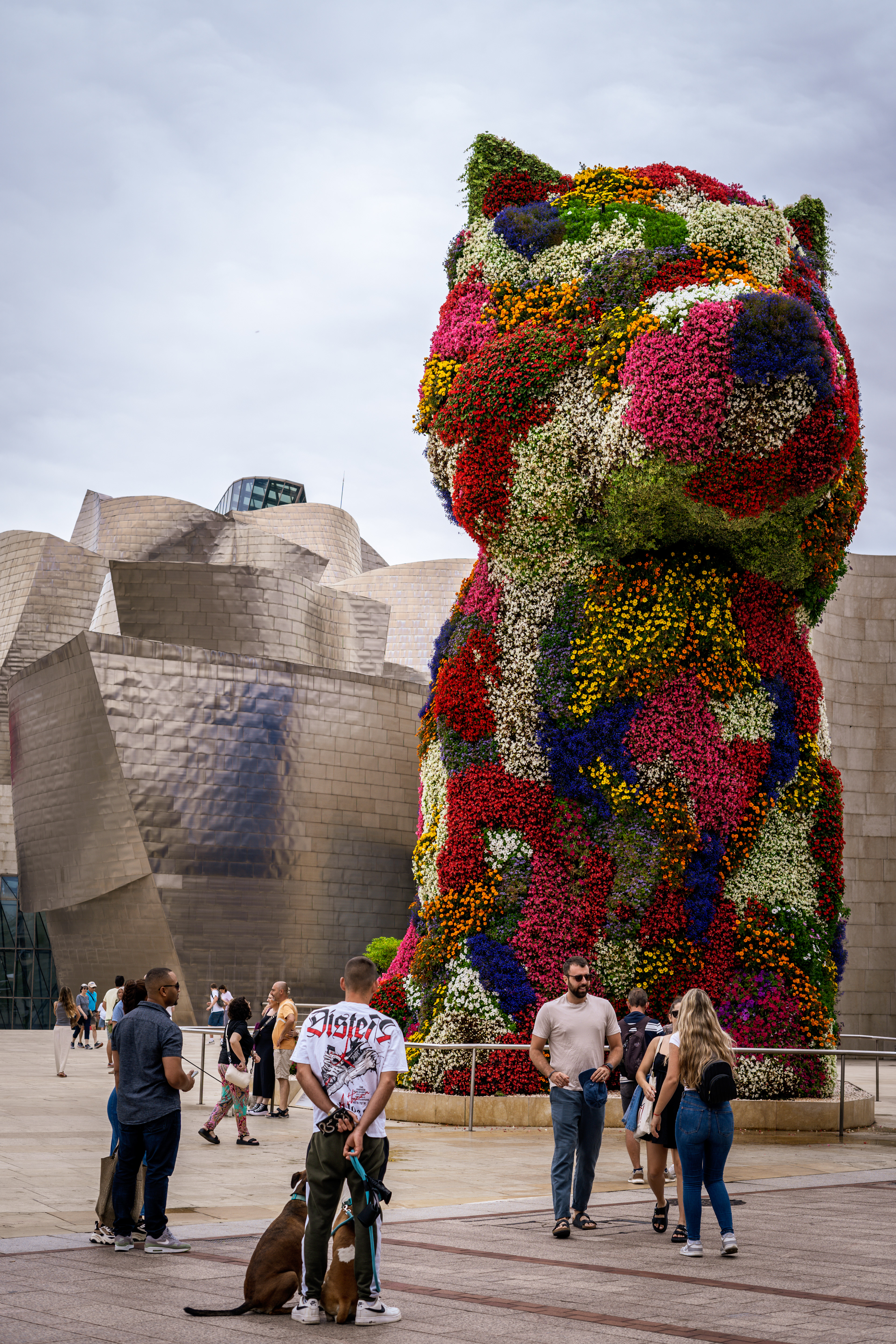 Guggenheim Museum