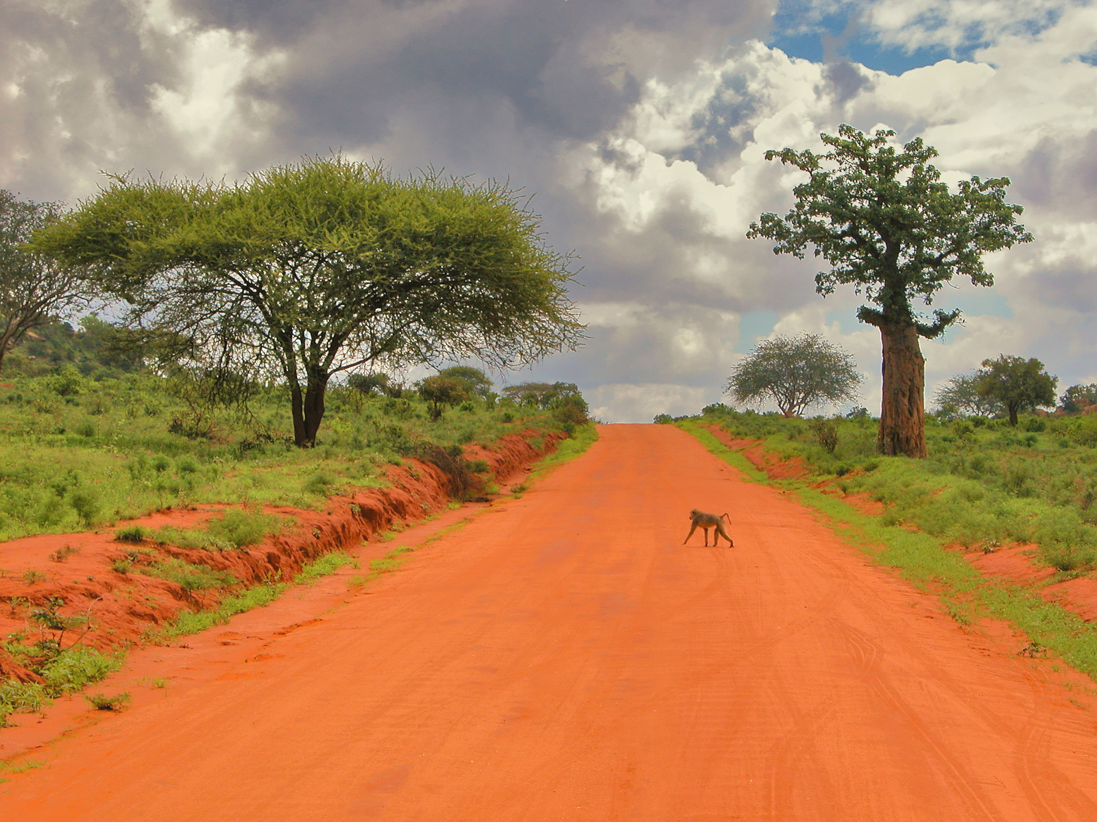 Tsavo East National Park