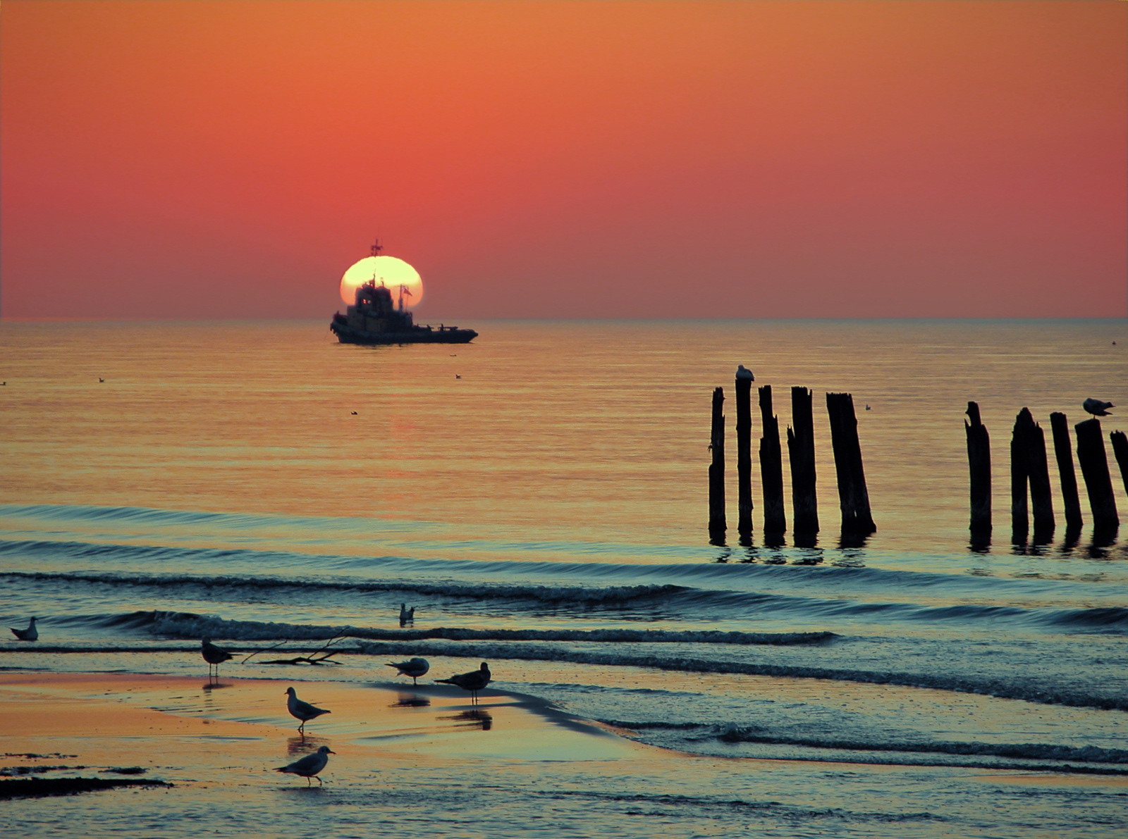 Baltic sea