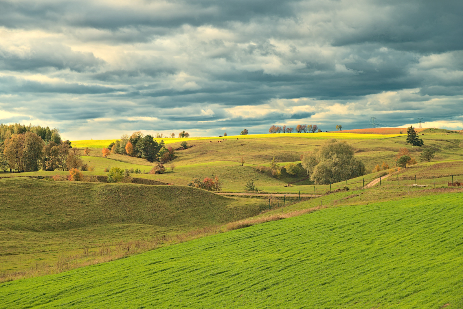 Podlasie