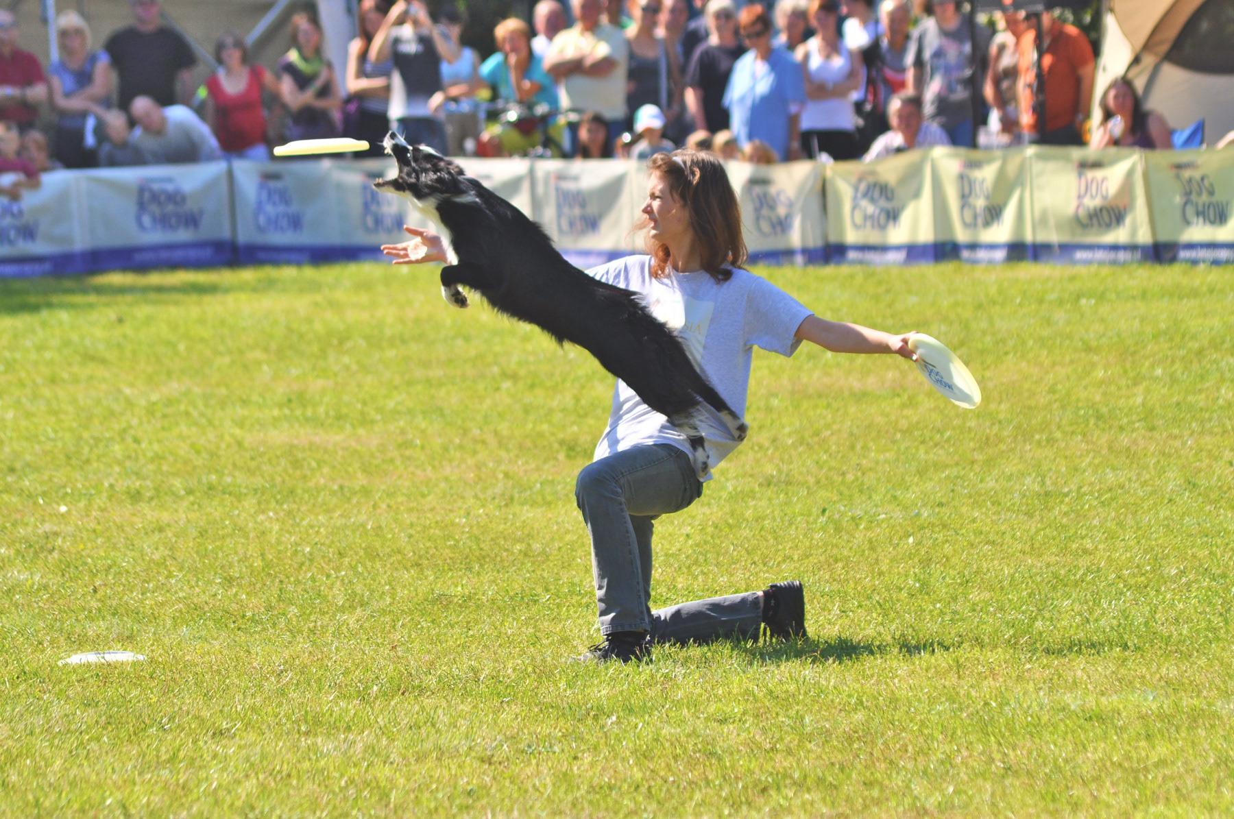 Dogfrisbee freestyle at the Dog Chow Disc Cup