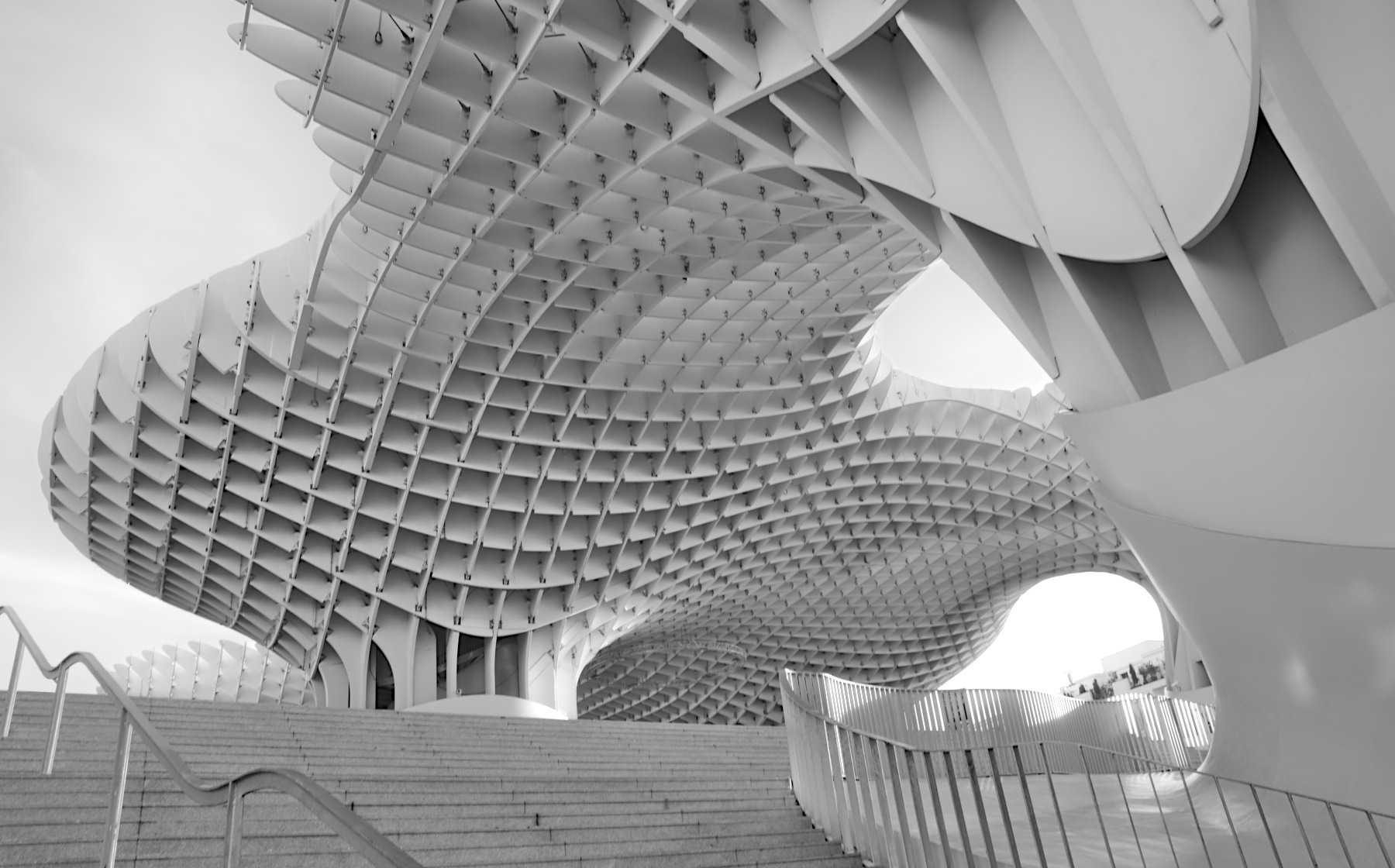 Setas de Sevilla