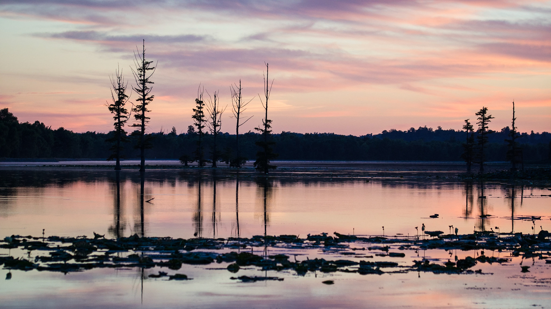 Afterglow at Mermet Lake | Mermet SFWA