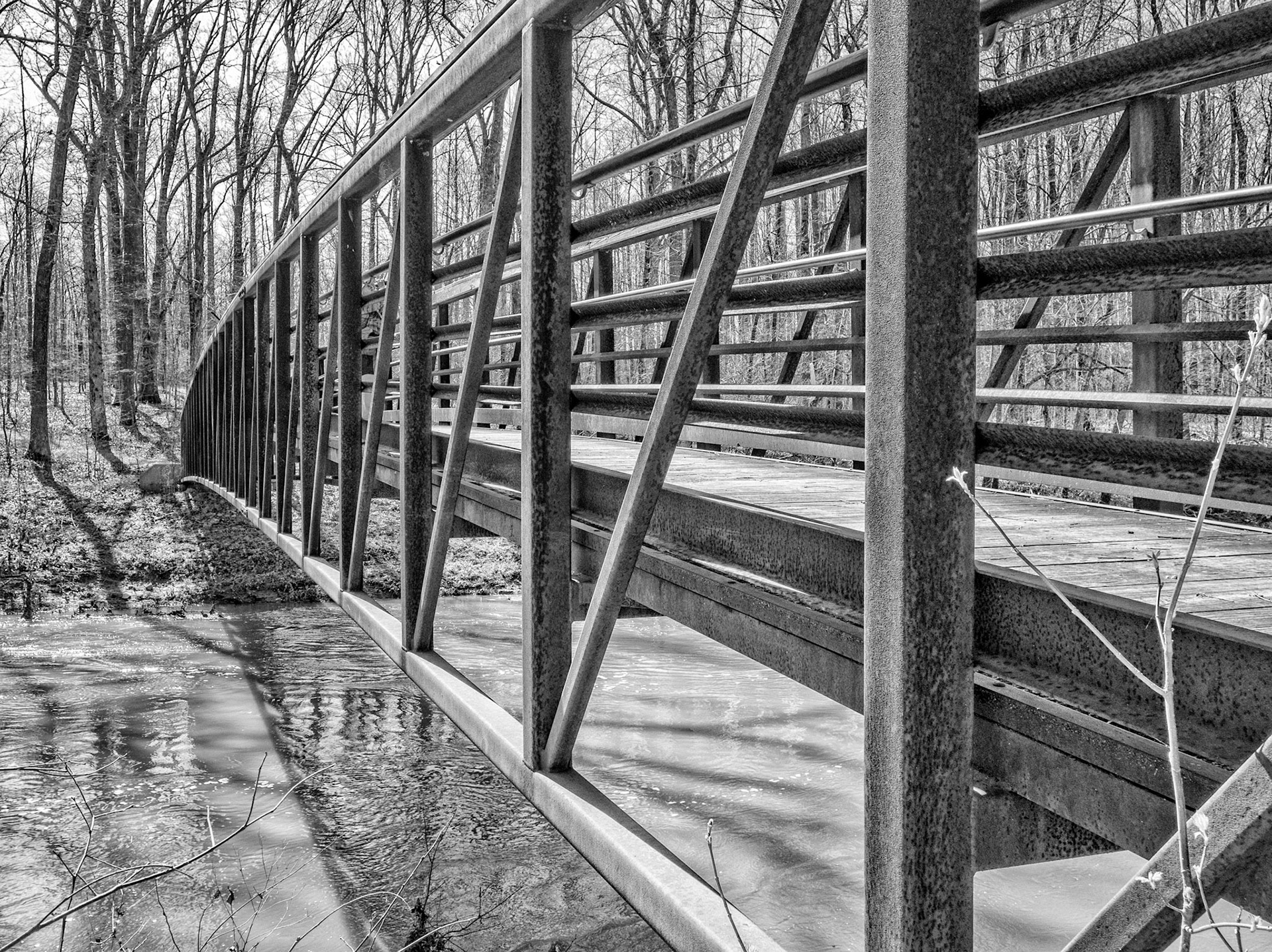 Footbridge over the Cache River | Heron Pond State Natural Area