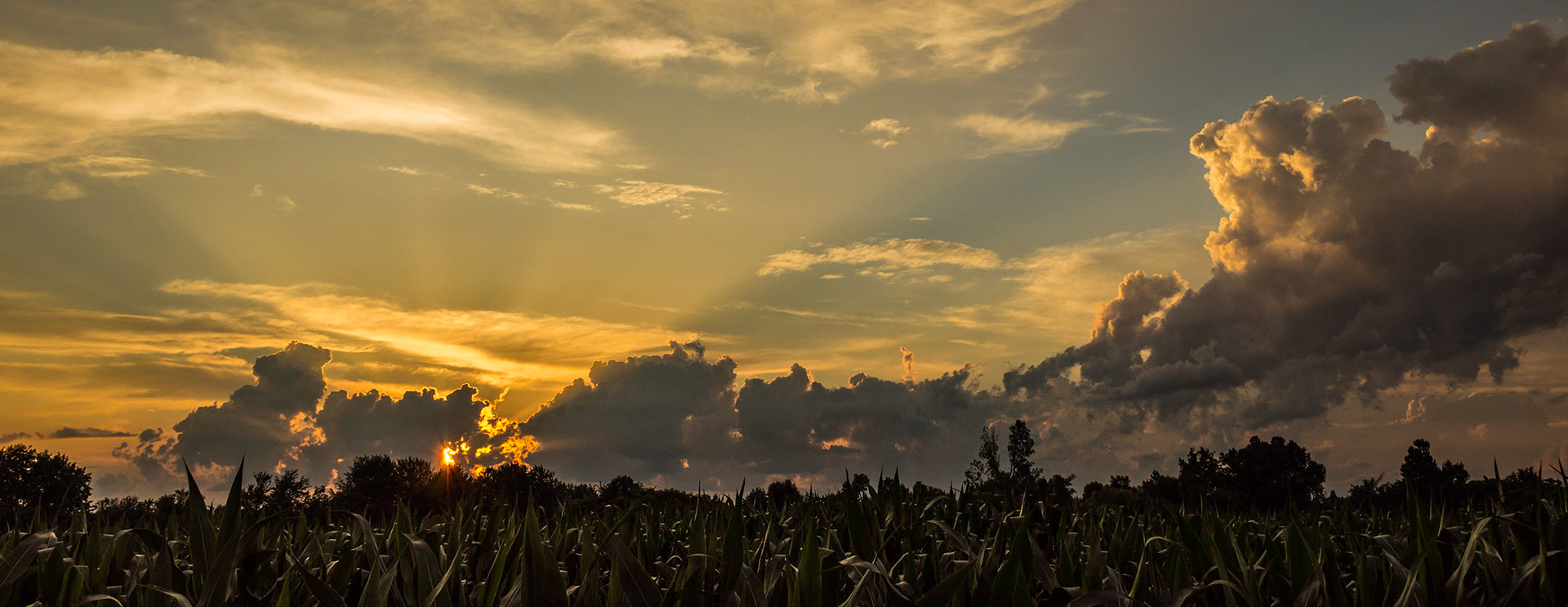Sunset Over the Corn Field
