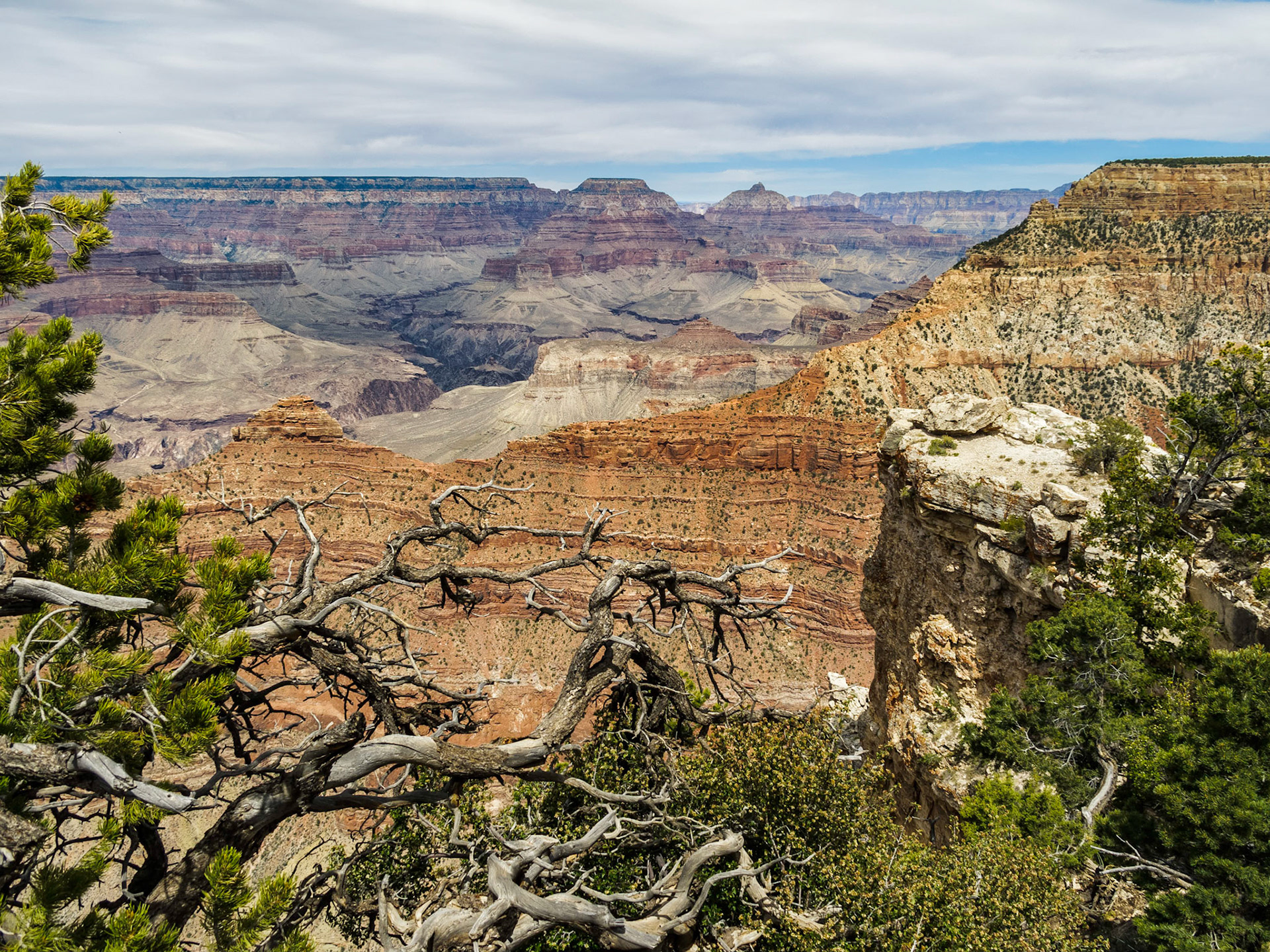 Mather Point