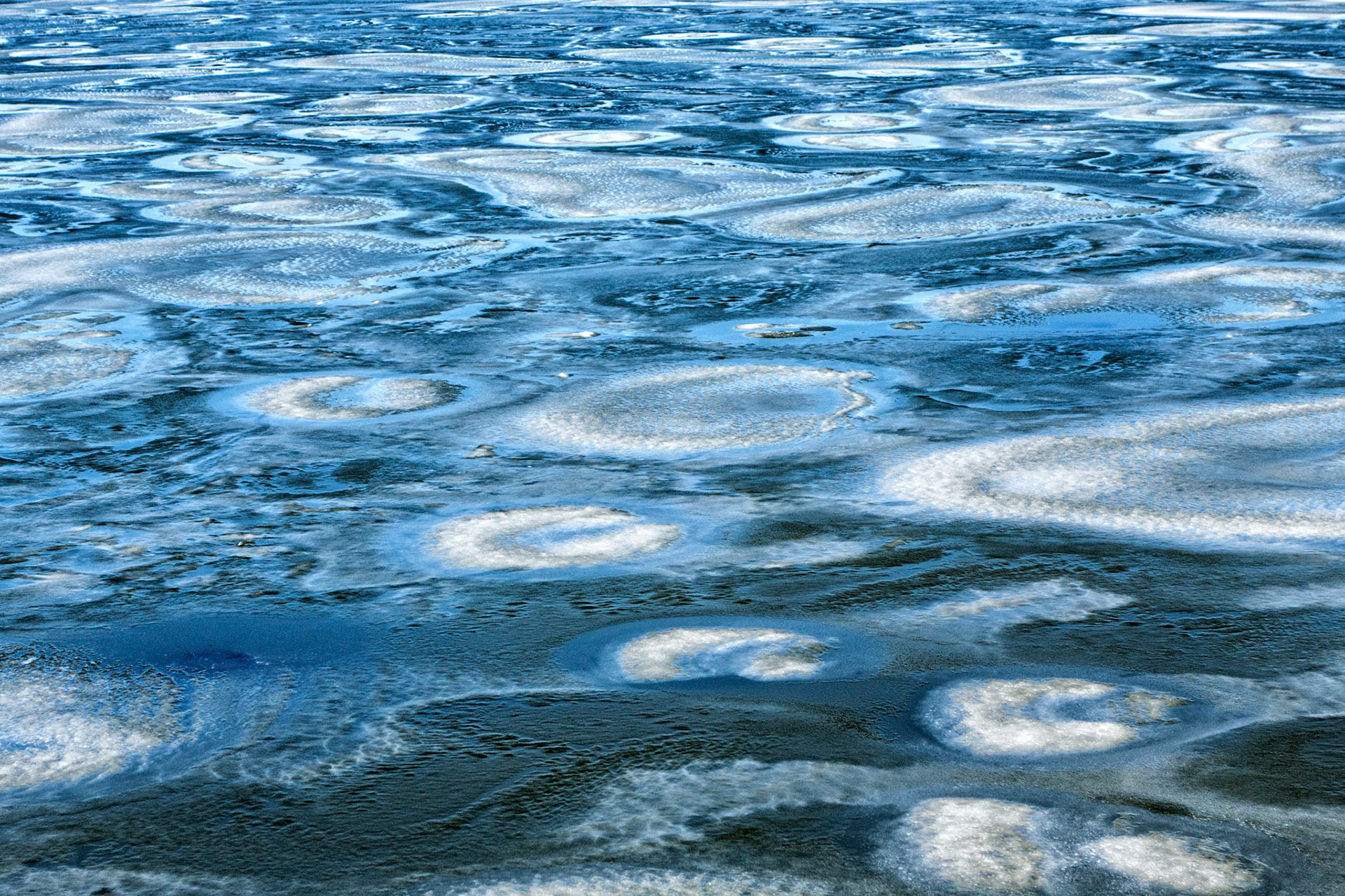 Ice on the Lake | Mermet Lake SFWA