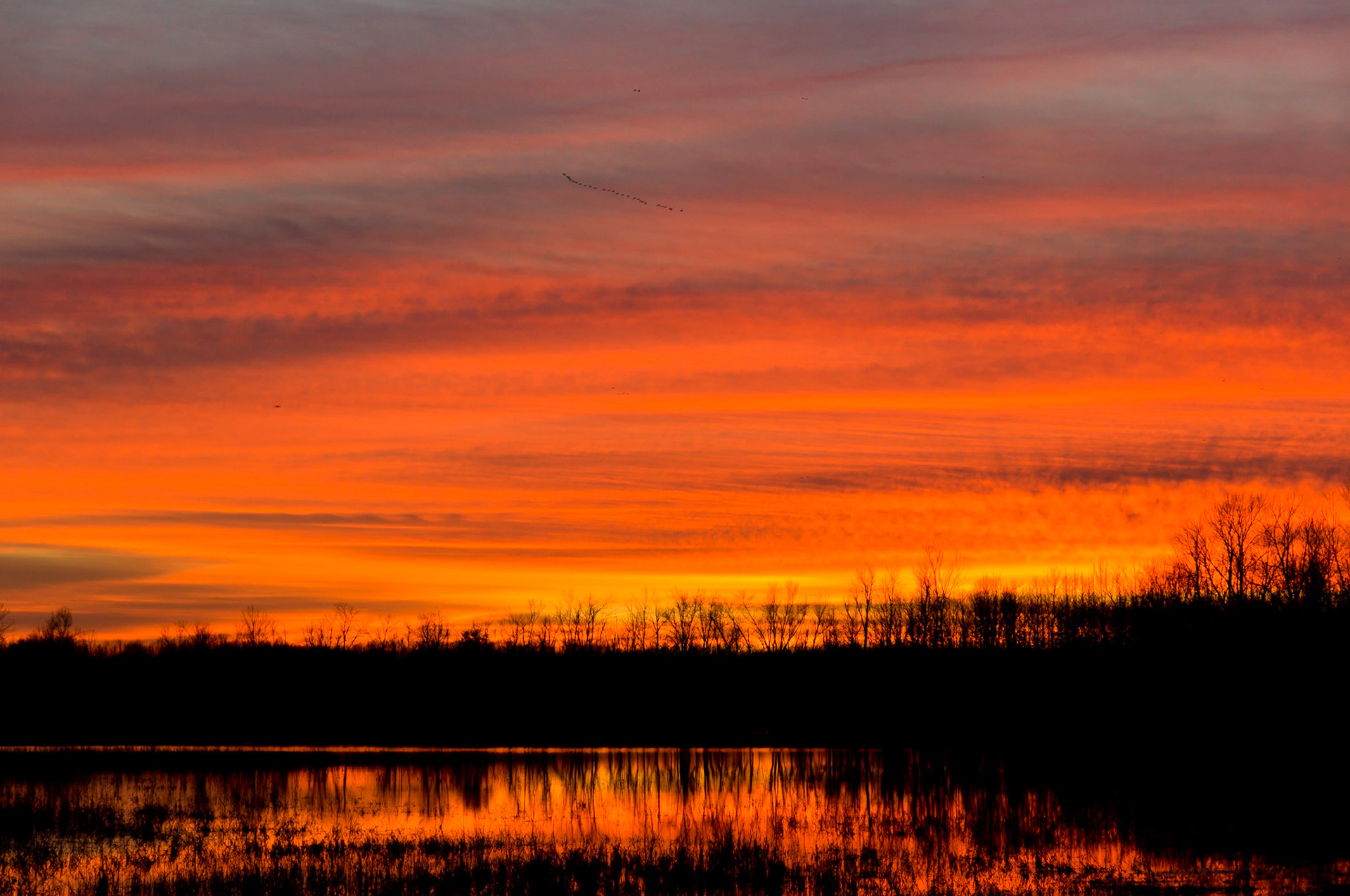 Sunset | Bellrose Waterfowl Reserve