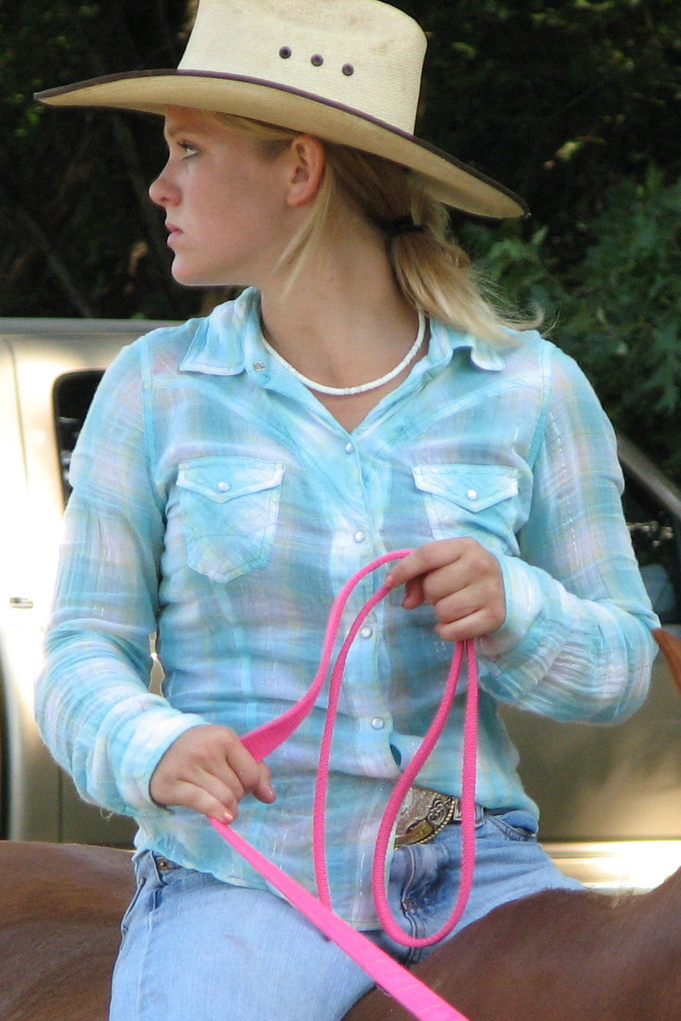 Massac County Youth Fair