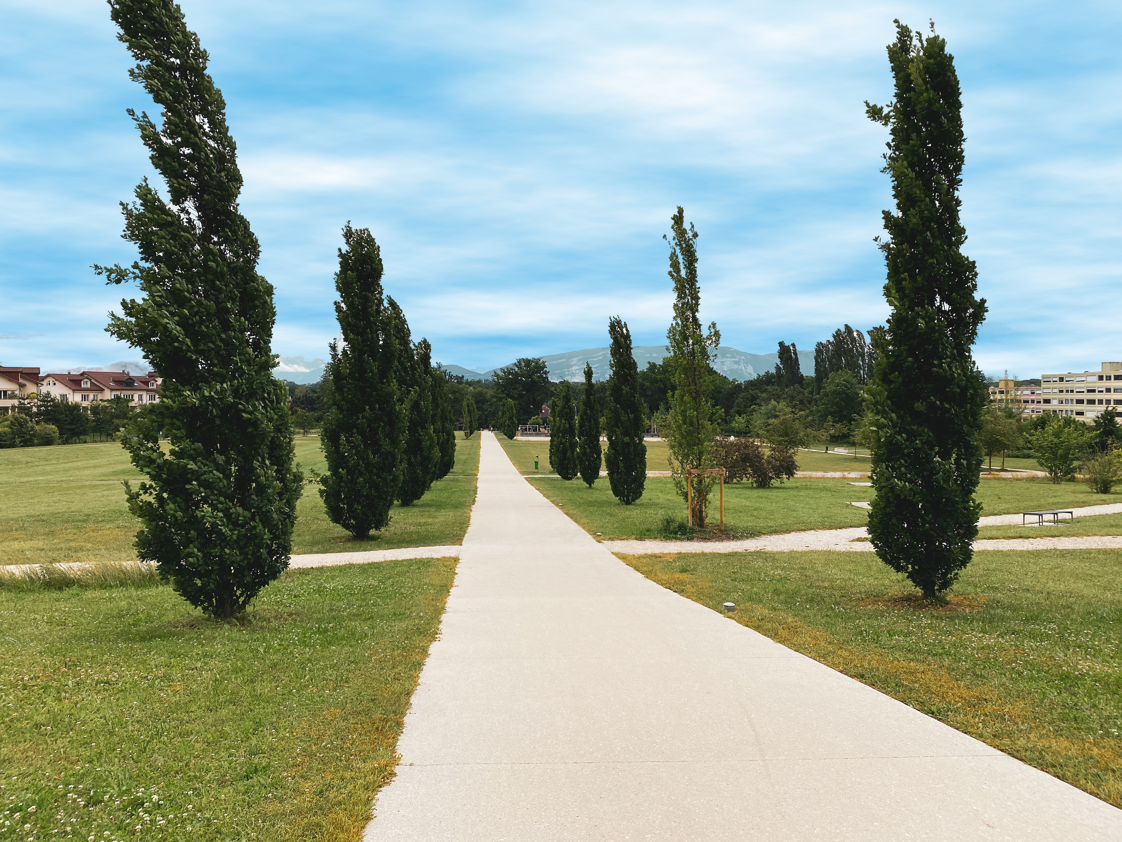 Tire Park