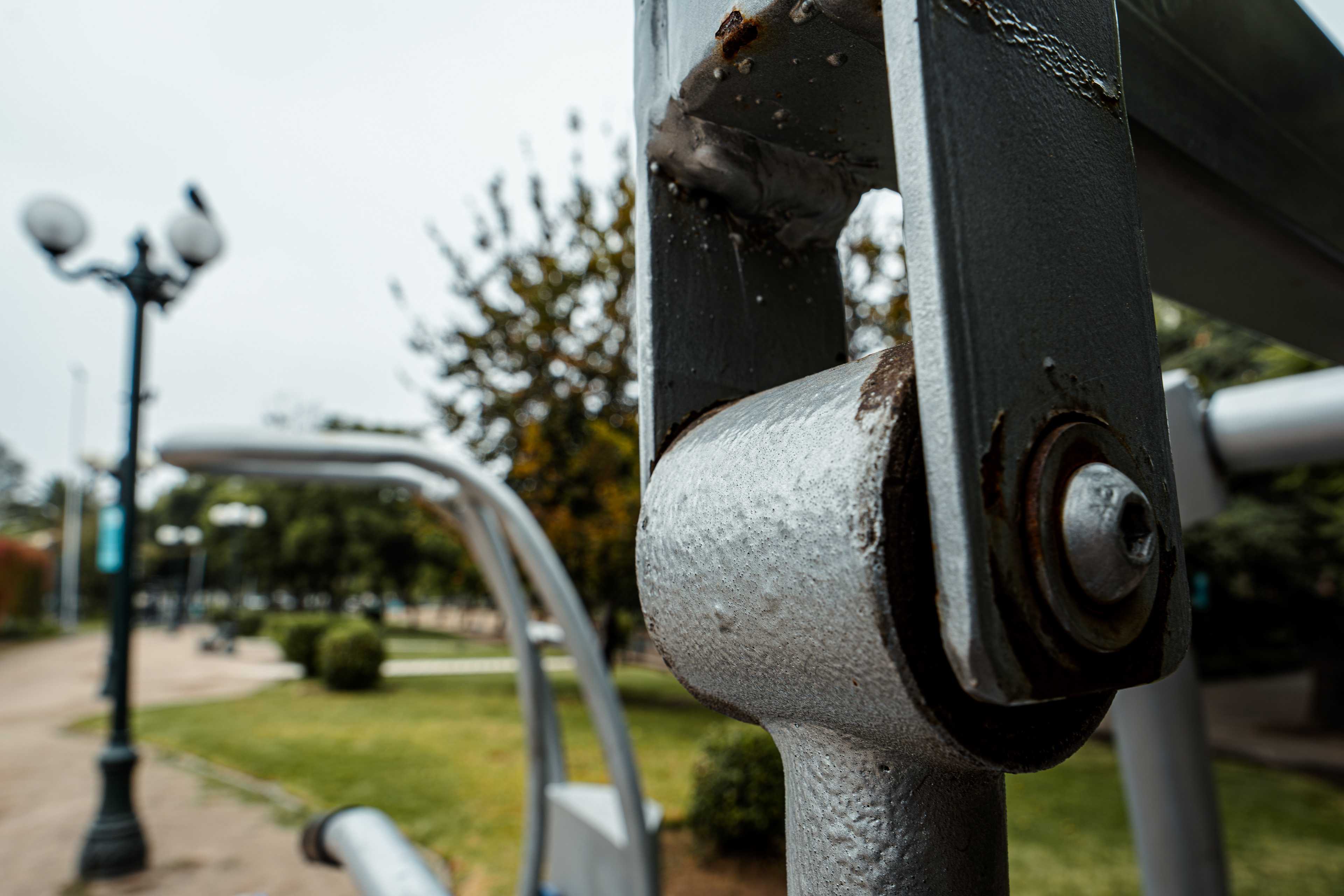 ISO 100 · f/8.0 · 1/25s · 16mm · Sony ILCE-7M2