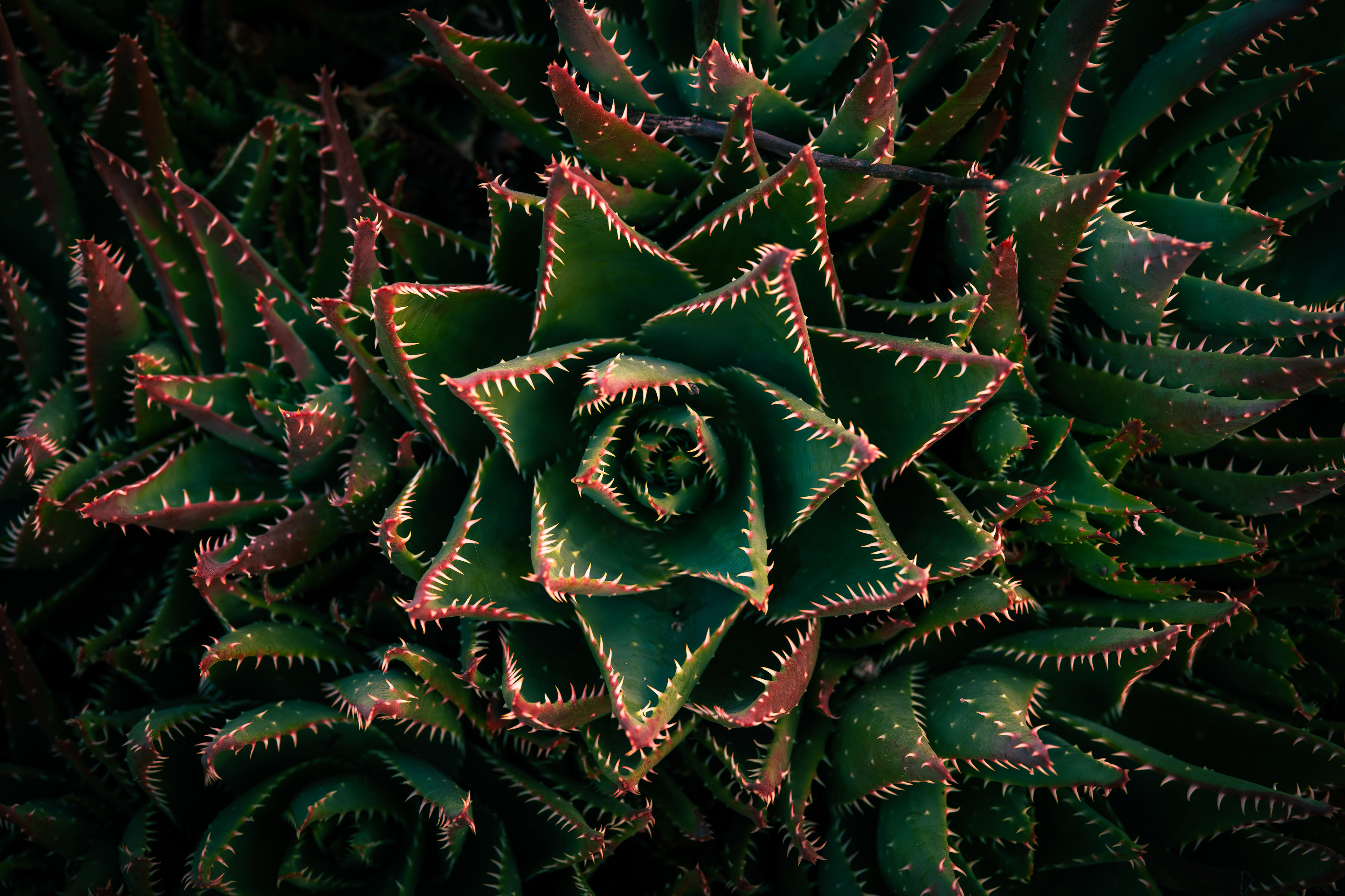 ISO 1600 · f/5.6 · 1/400 · 85mm · Sony ILCE-7M2