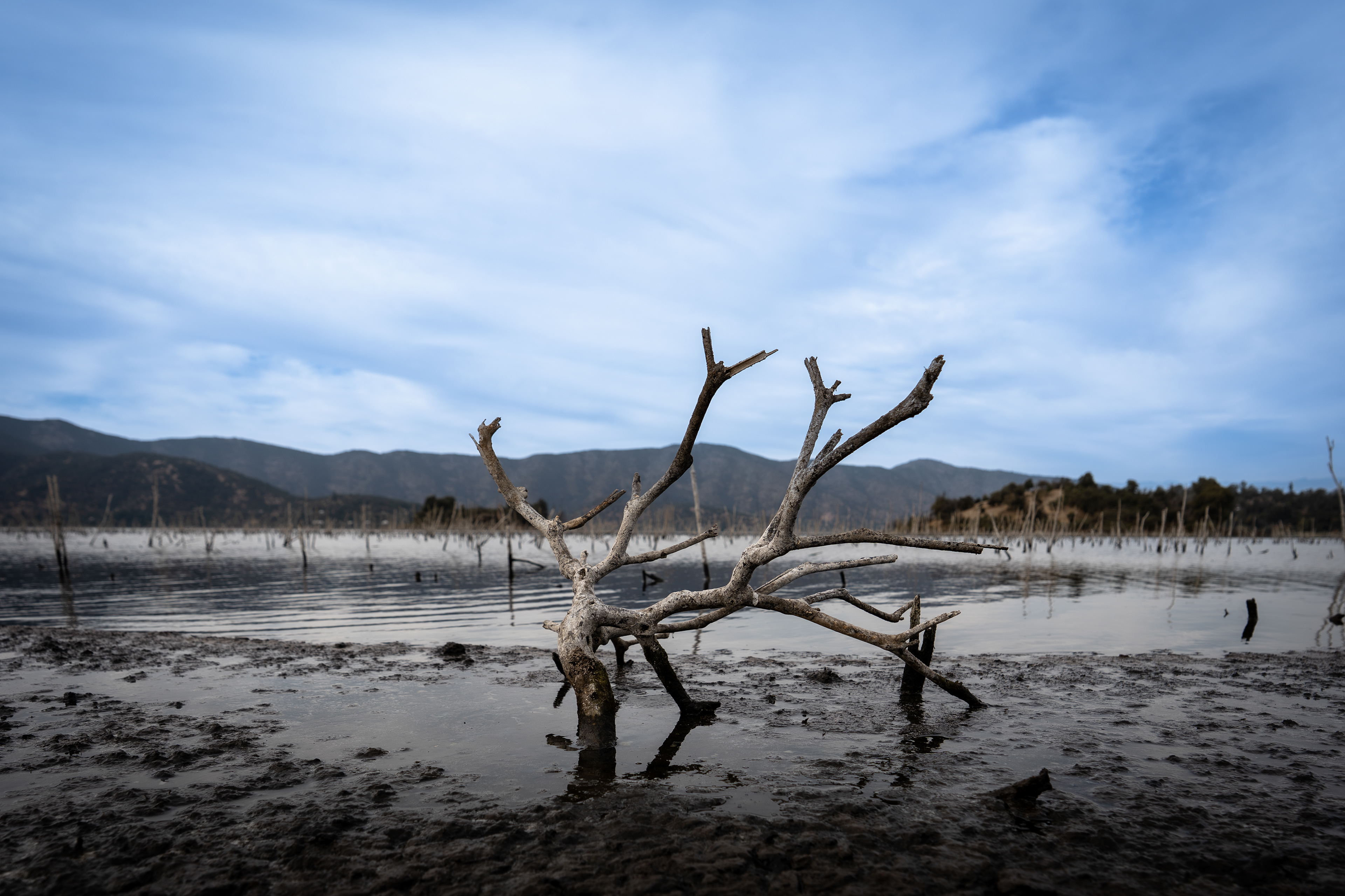 ISO 160 · f/4.0 · 1/1250 · 16mm · Sony ILCE-7M2